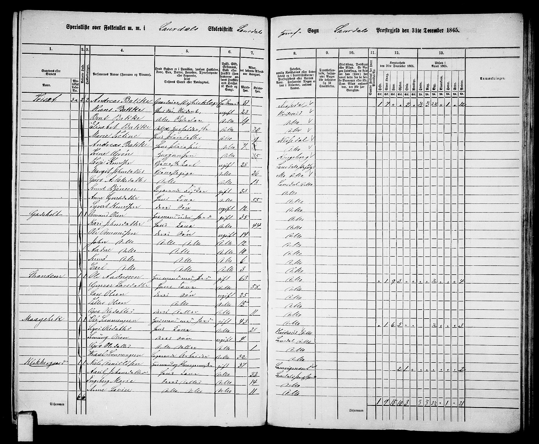 RA, 1865 census for Lårdal, 1865, p. 7