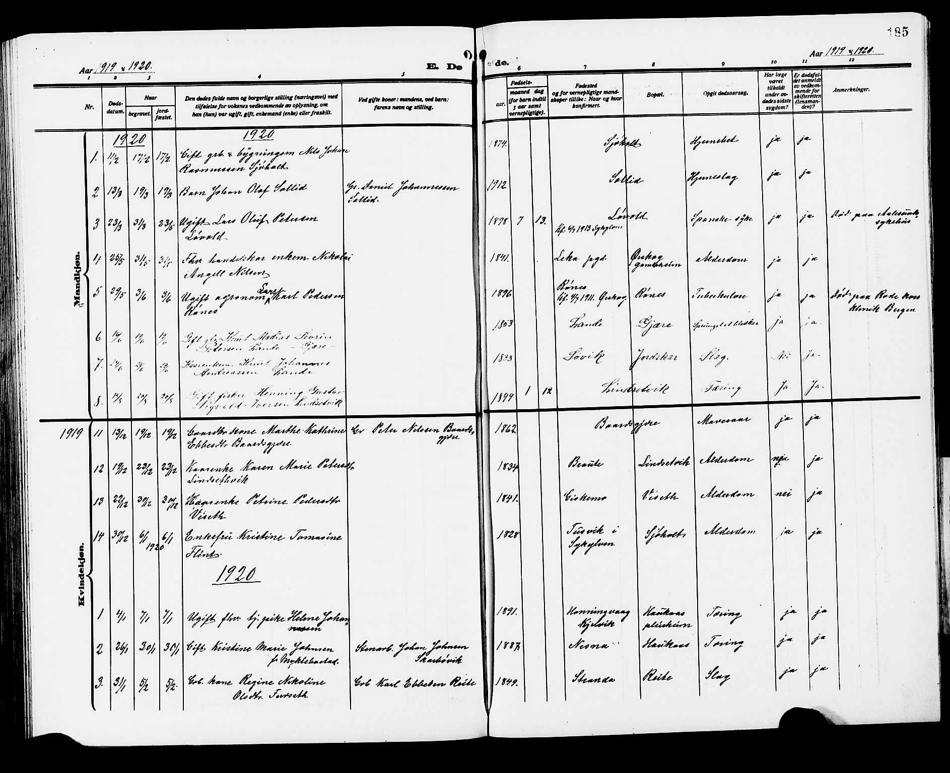 Ministerialprotokoller, klokkerbøker og fødselsregistre - Møre og Romsdal, SAT/A-1454/522/L0328: Parish register (copy) no. 522C07, 1909-1925, p. 185