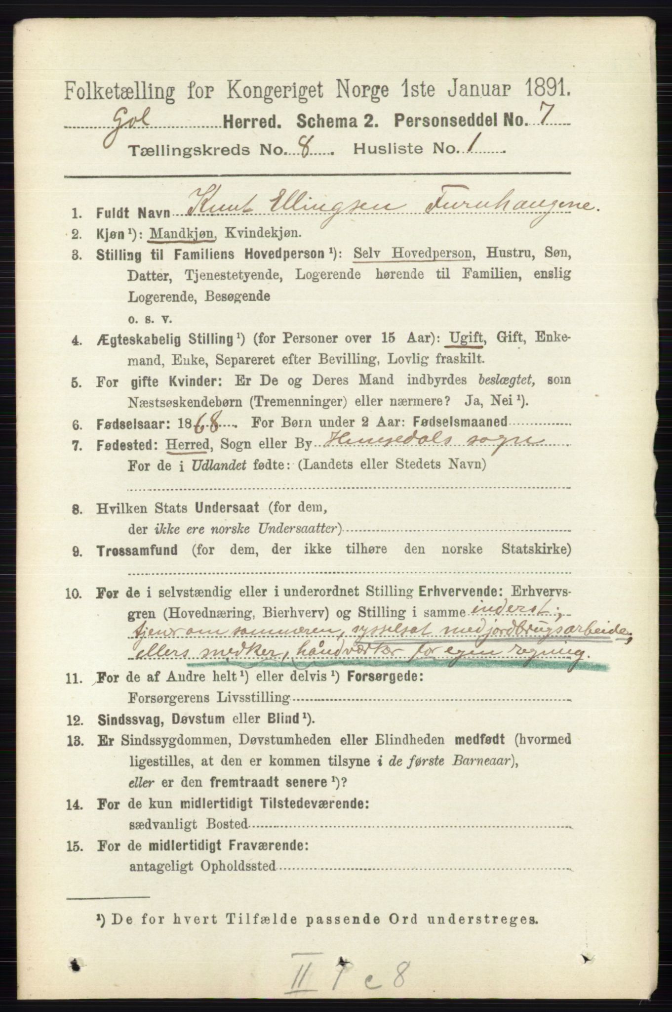 RA, 1891 census for 0617 Gol og Hemsedal, 1891, p. 3041