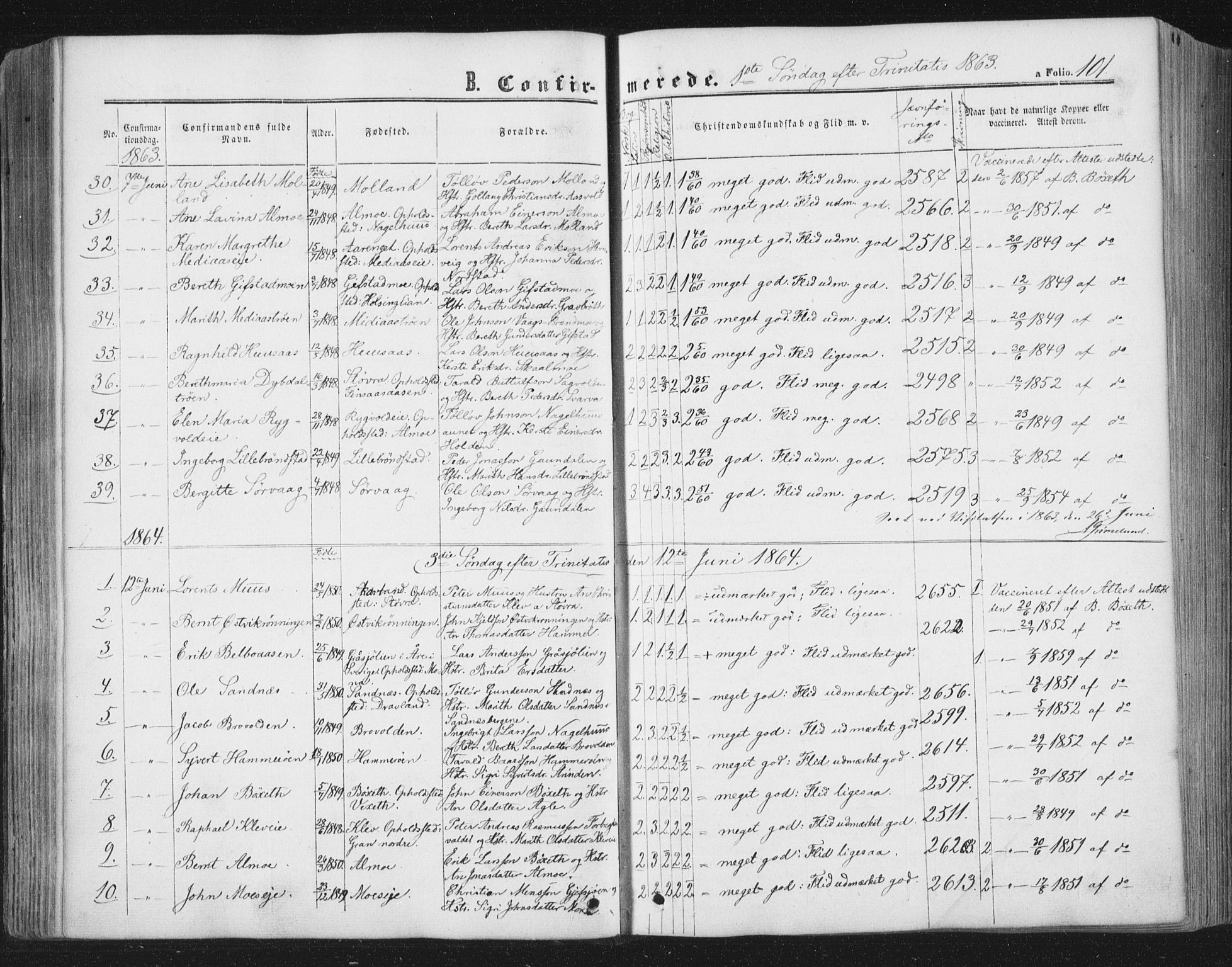 Ministerialprotokoller, klokkerbøker og fødselsregistre - Nord-Trøndelag, SAT/A-1458/749/L0472: Parish register (official) no. 749A06, 1857-1873, p. 101