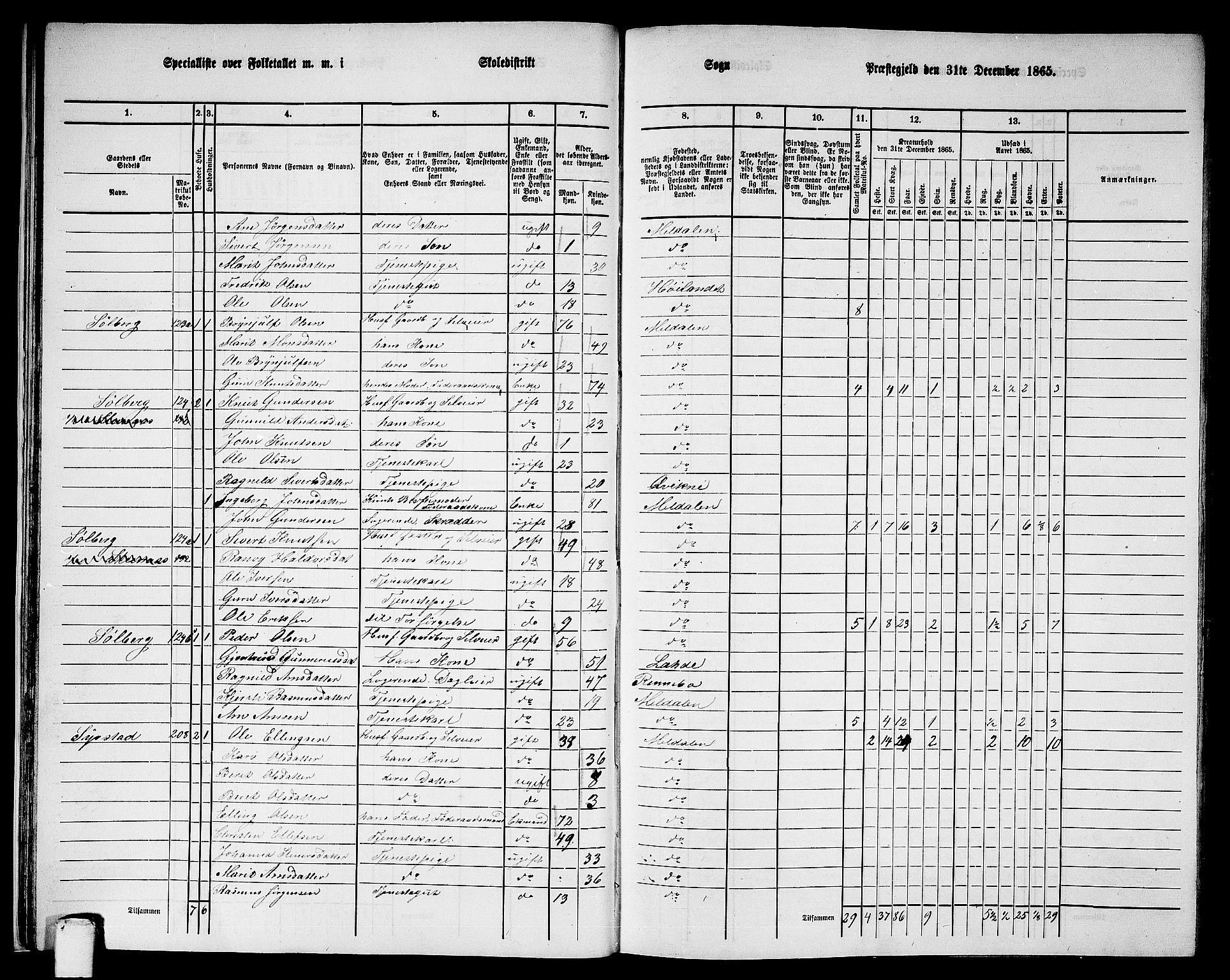 RA, 1865 census for Meldal, 1865, p. 29