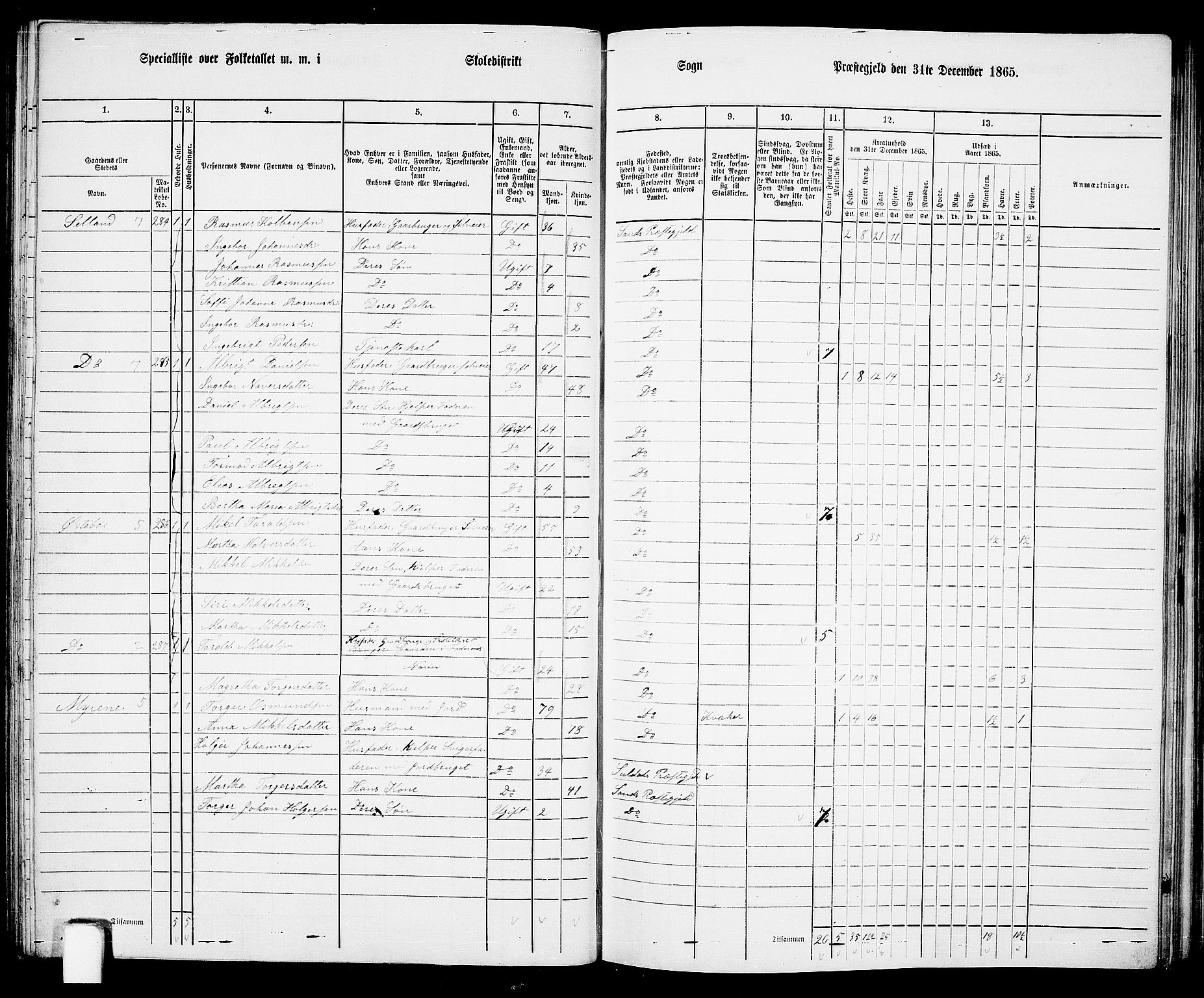 RA, 1865 census for Sand, 1865, p. 74