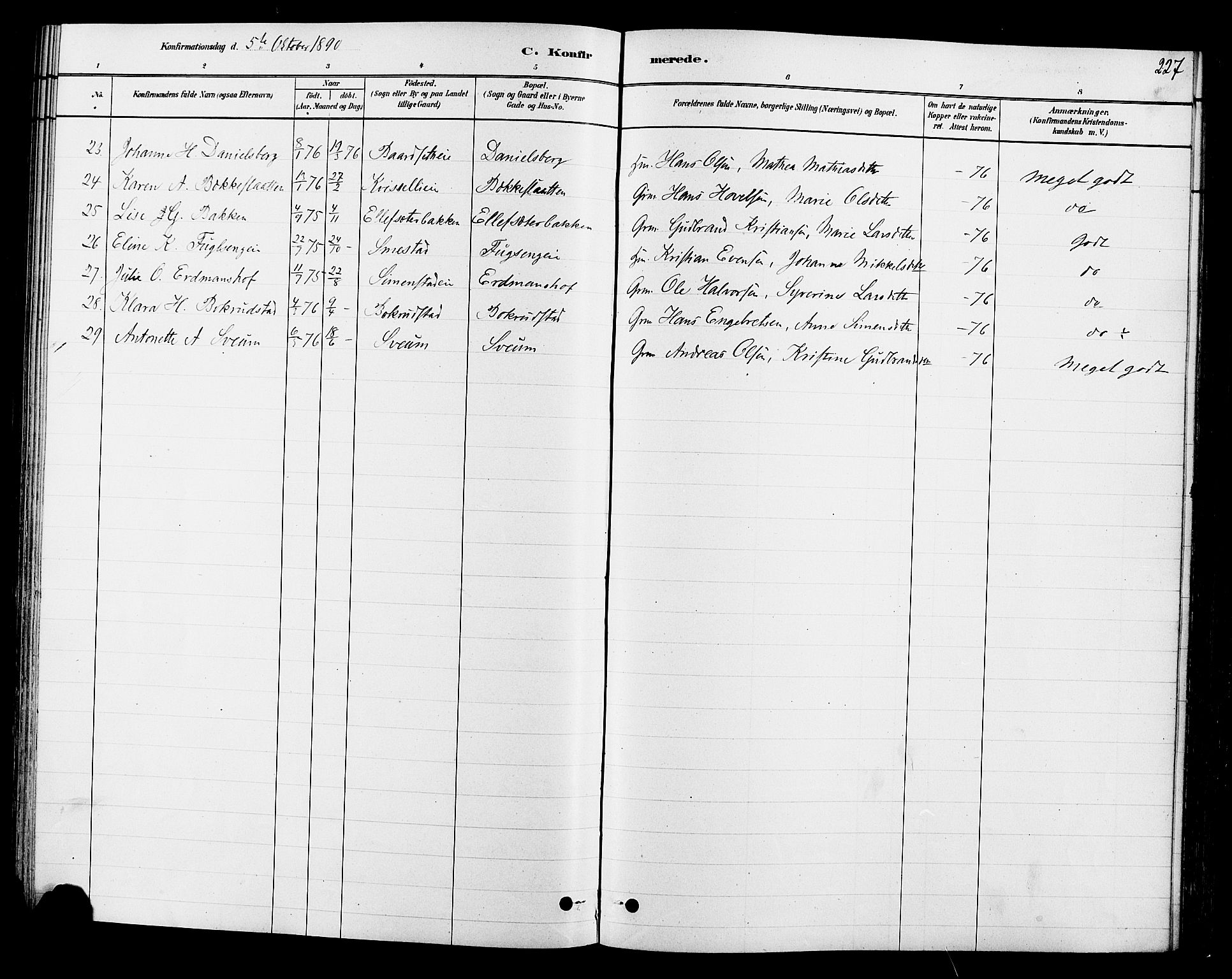 Ringsaker prestekontor, AV/SAH-PREST-014/L/La/L0009: Parish register (copy) no. 9, 1879-1890, p. 227