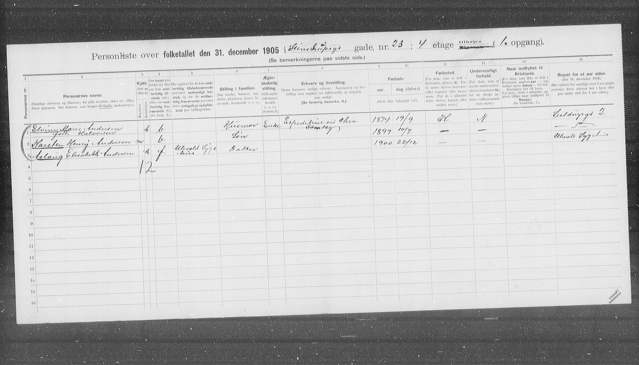 OBA, Municipal Census 1905 for Kristiania, 1905, p. 52895