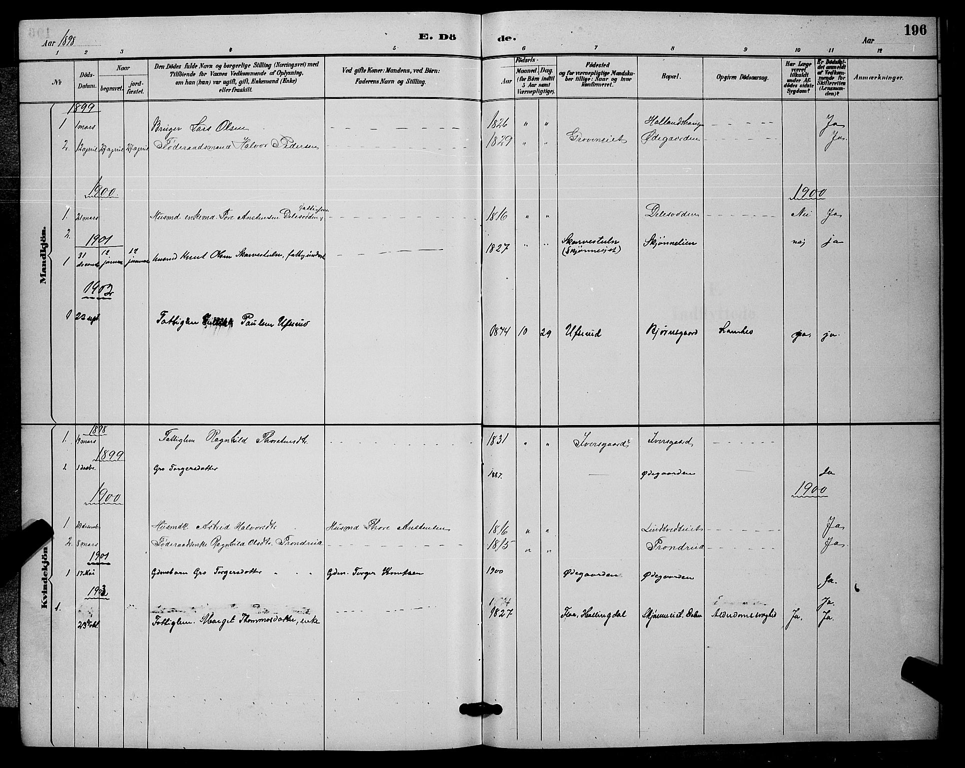 Nore kirkebøker, SAKO/A-238/G/Ga/L0003: Parish register (copy) no. I 3, 1886-1903, p. 196