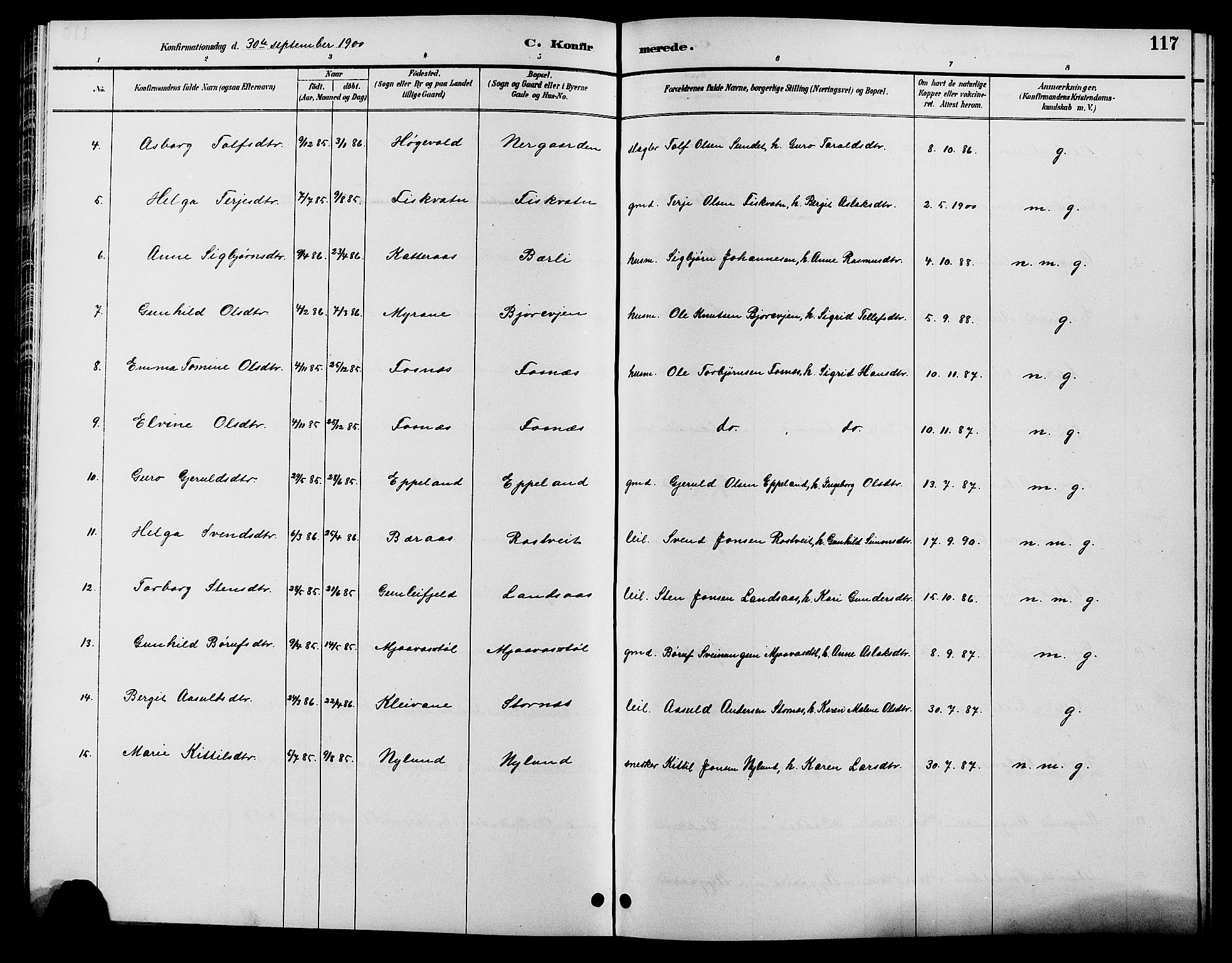 Åmli sokneprestkontor, AV/SAK-1111-0050/F/Fb/Fbc/L0004: Parish register (copy) no. B 4, 1889-1902, p. 117