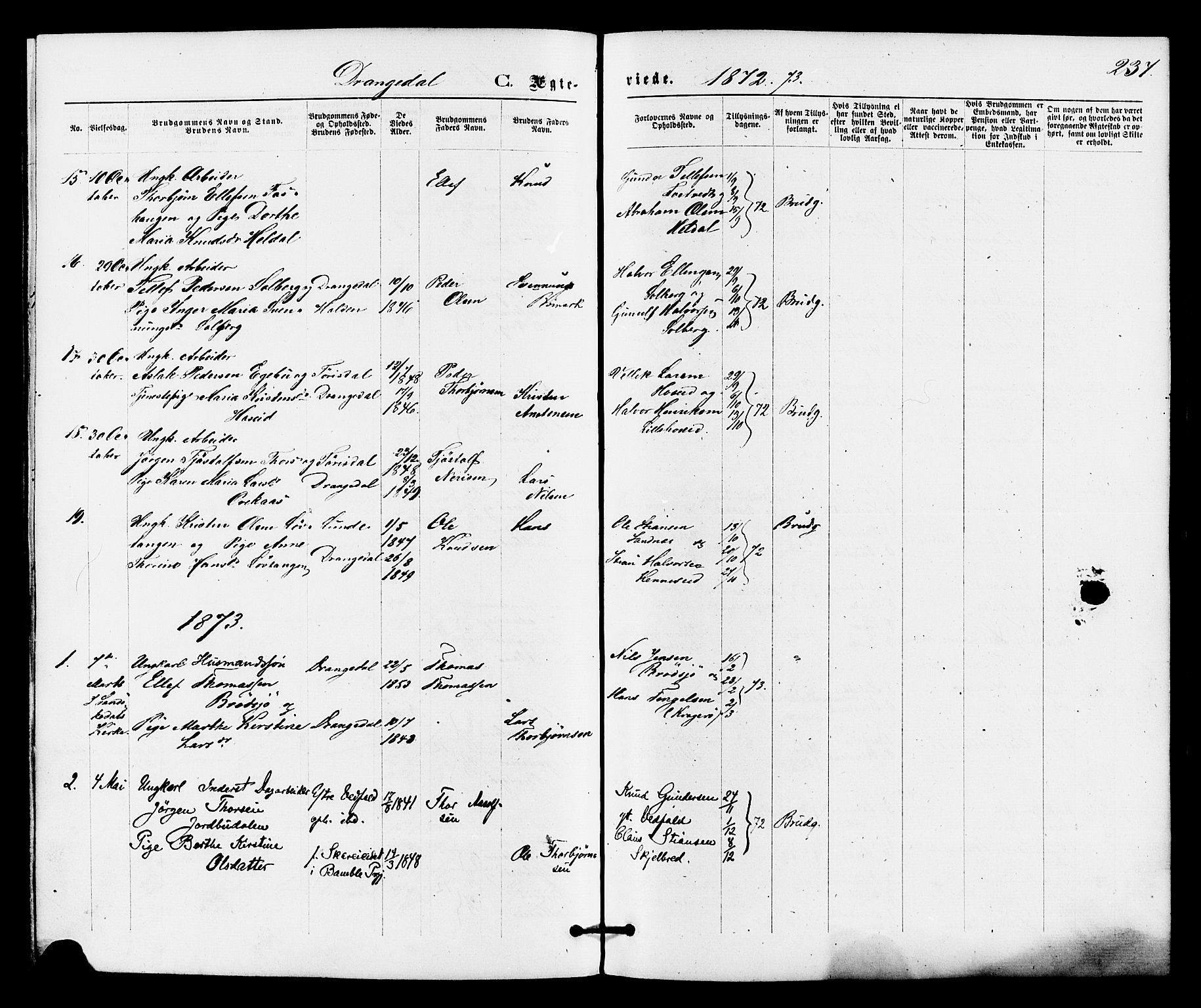 Drangedal kirkebøker, SAKO/A-258/F/Fa/L0009: Parish register (official) no. 9 /1, 1872-1884, p. 237