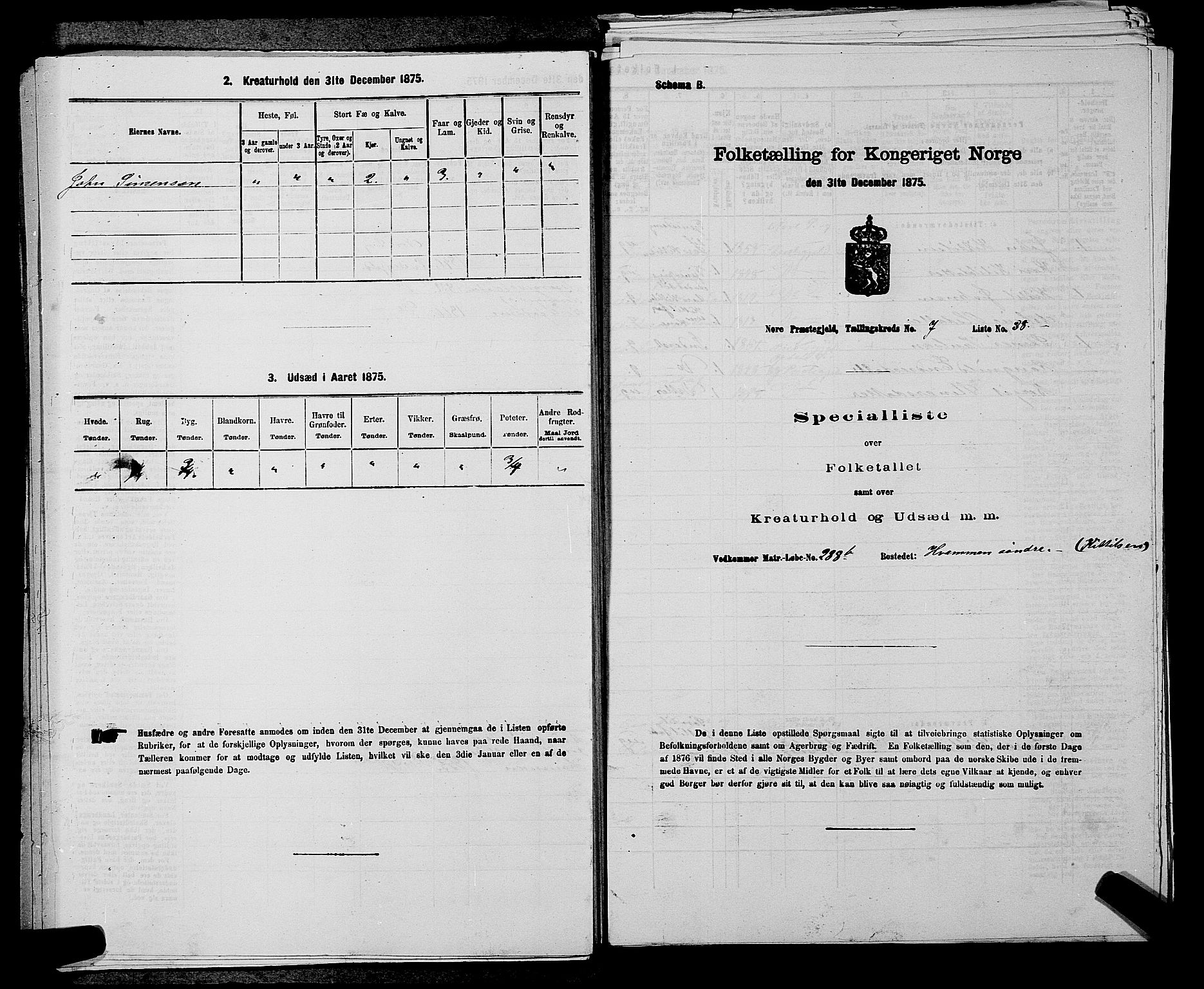 SAKO, 1875 census for 0633P Nore, 1875, p. 910