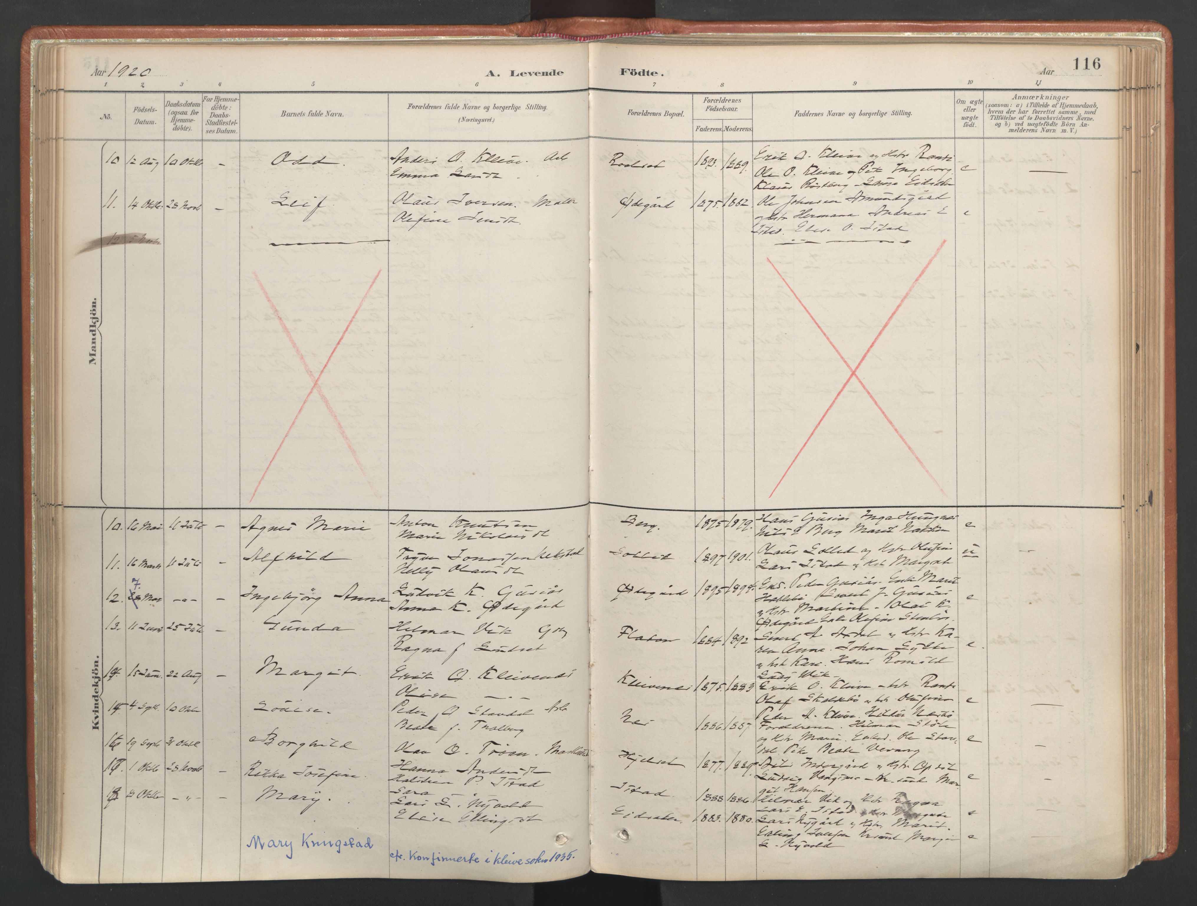 Ministerialprotokoller, klokkerbøker og fødselsregistre - Møre og Romsdal, AV/SAT-A-1454/557/L0682: Parish register (official) no. 557A04, 1887-1970, p. 116