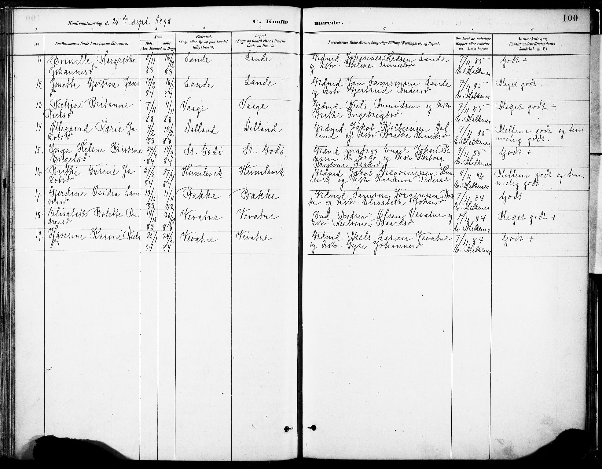 Tysnes sokneprestembete, AV/SAB-A-78601/H/Haa: Parish register (official) no. B 1, 1887-1906, p. 100