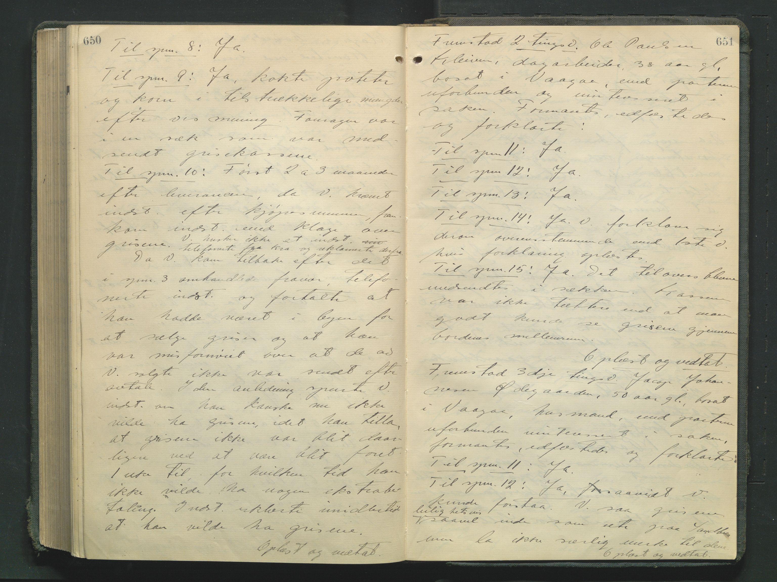 Nord-Gudbrandsdal tingrett, AV/SAH-TING-002/G/Gb/L0034: Tingbok, 1918-1920, p. 650-651