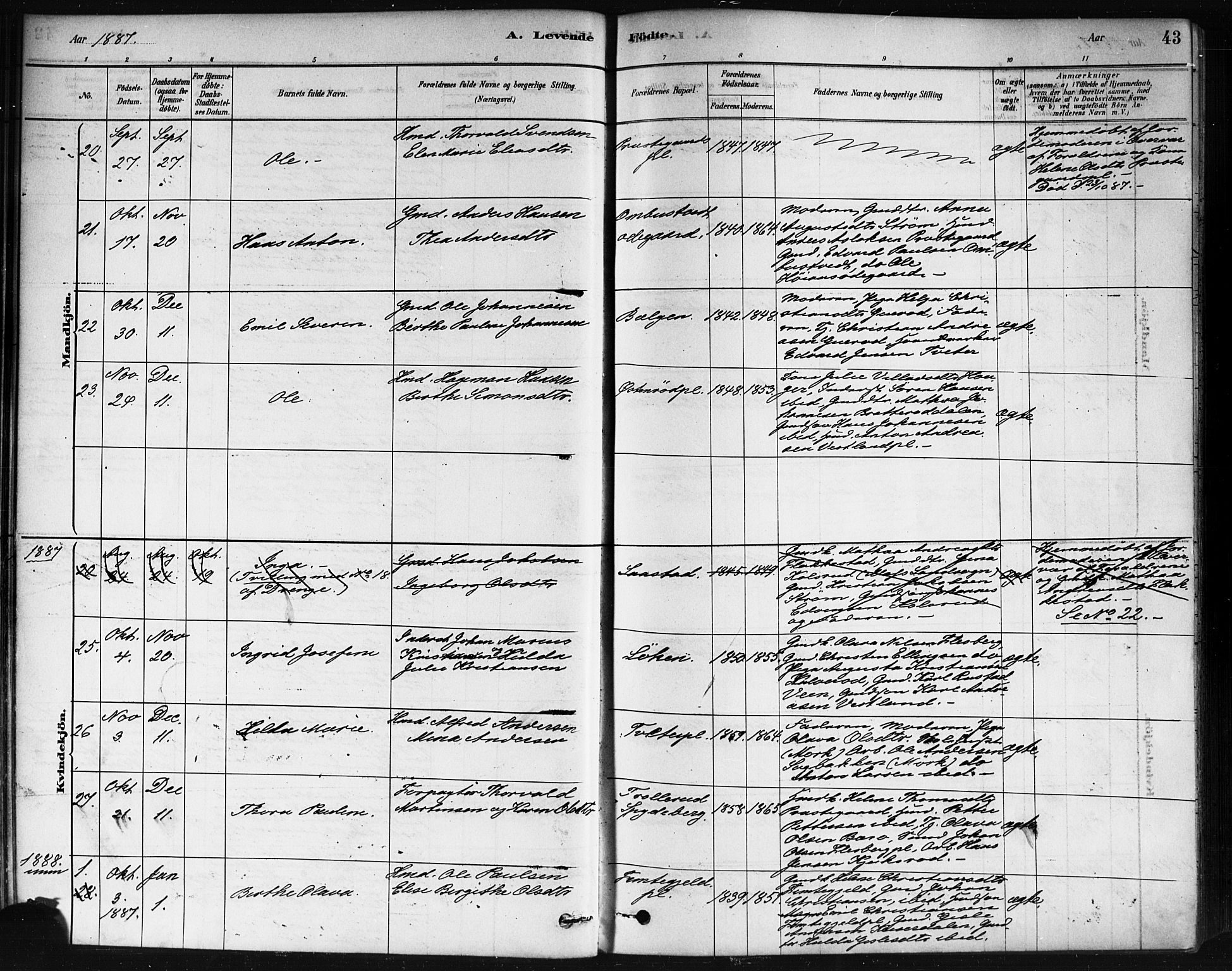 Våler prestekontor Kirkebøker, AV/SAO-A-11083/F/Fa/L0010: Parish register (official) no. I 10, 1878-1896, p. 43