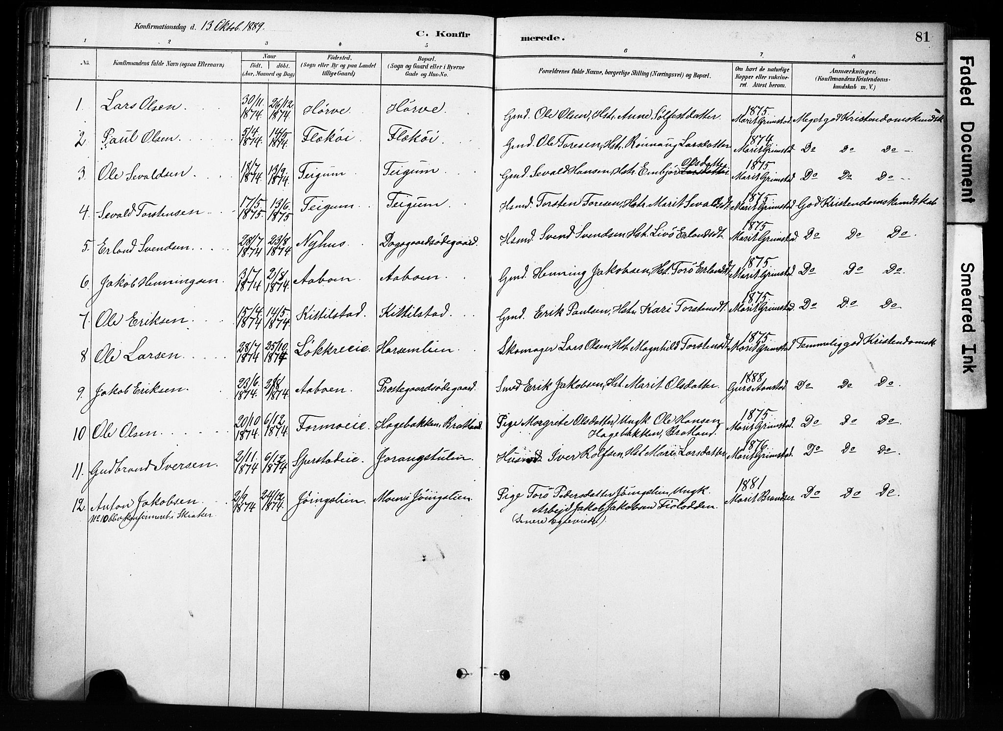 Skjåk prestekontor, SAH/PREST-072/H/Ha/Haa/L0004: Parish register (official) no. 4, 1880-1904, p. 81