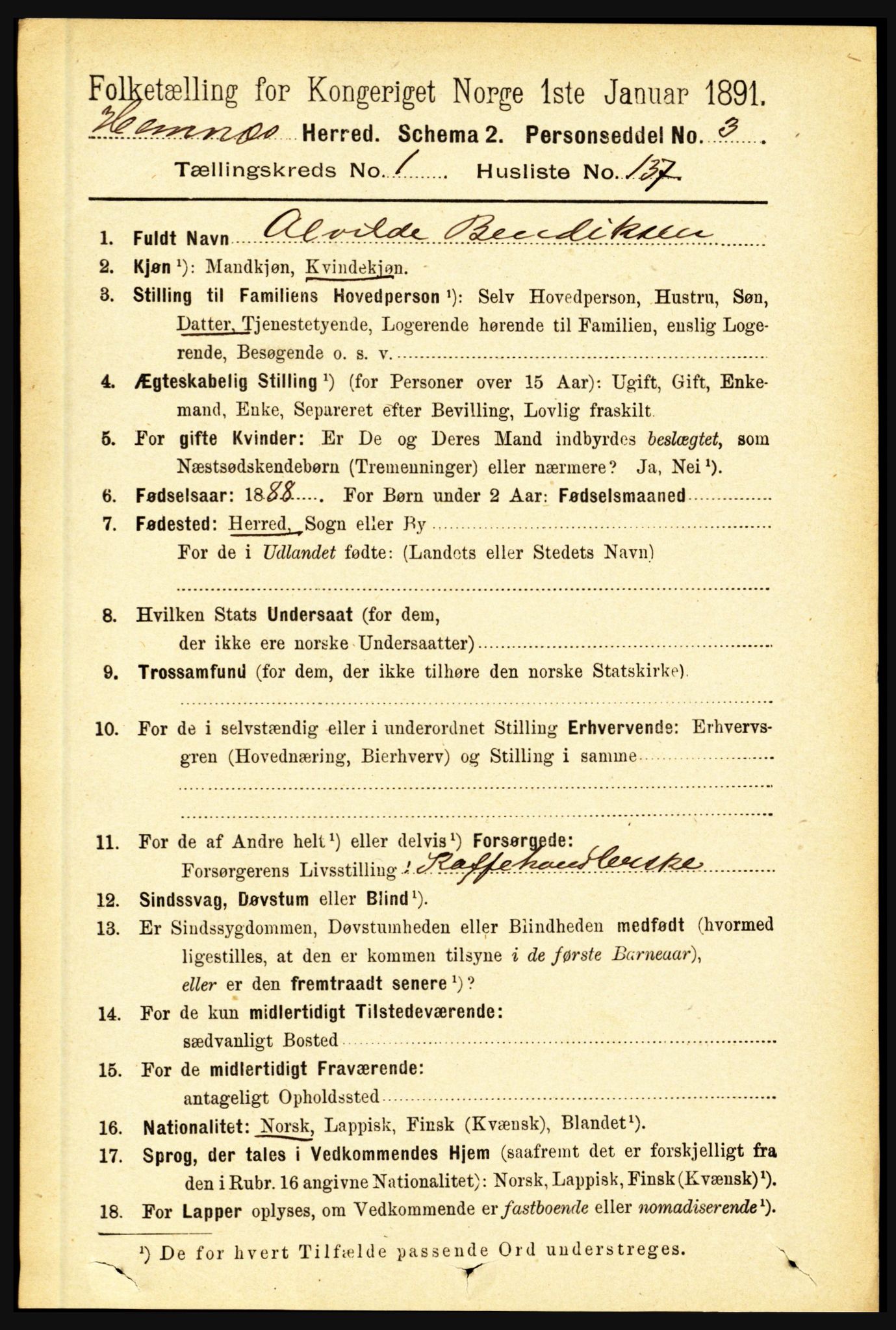 RA, 1891 census for 1832 Hemnes, 1891, p. 1024