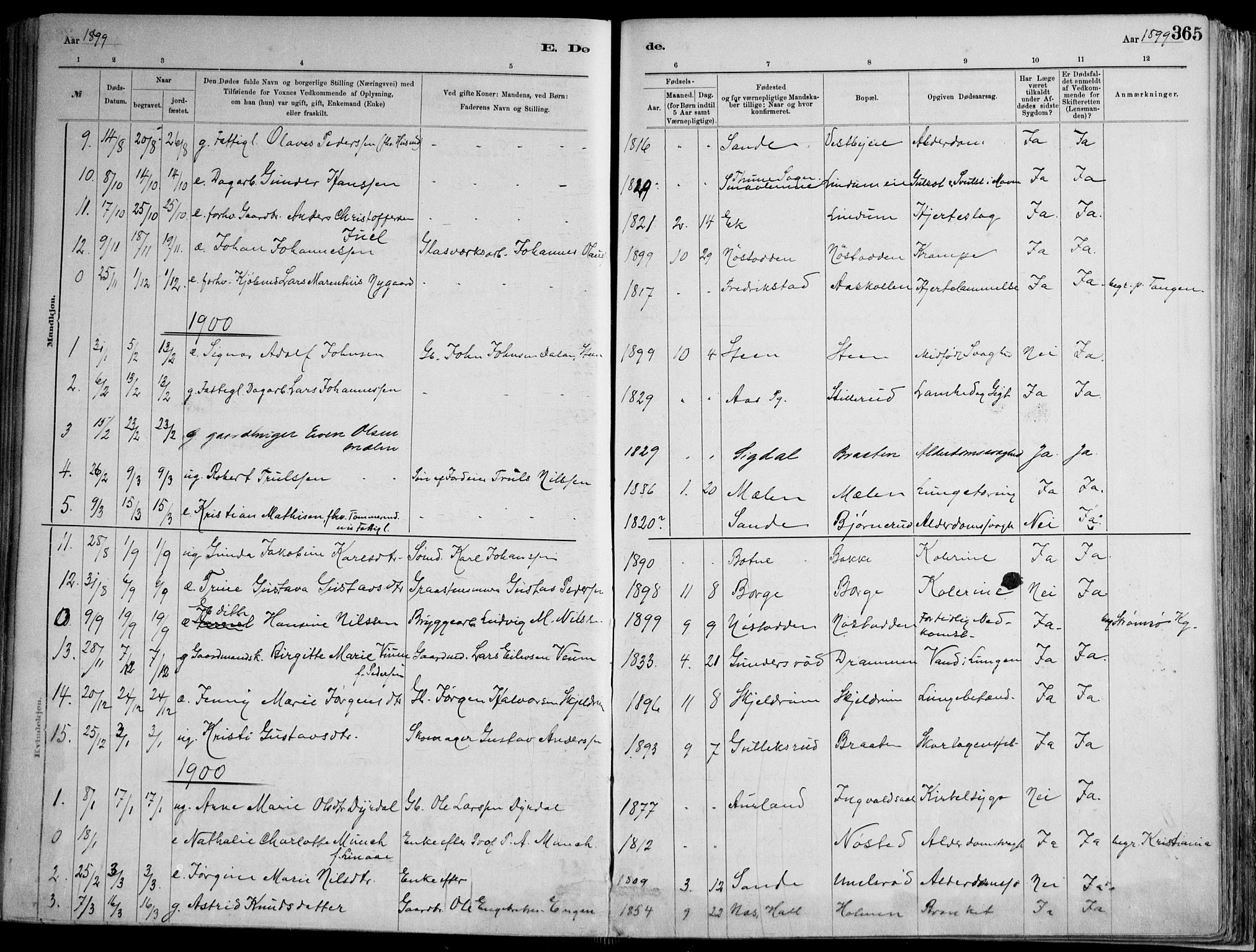 Skoger kirkebøker, AV/SAKO-A-59/F/Fa/L0006: Parish register (official) no. I 6, 1885-1910, p. 365