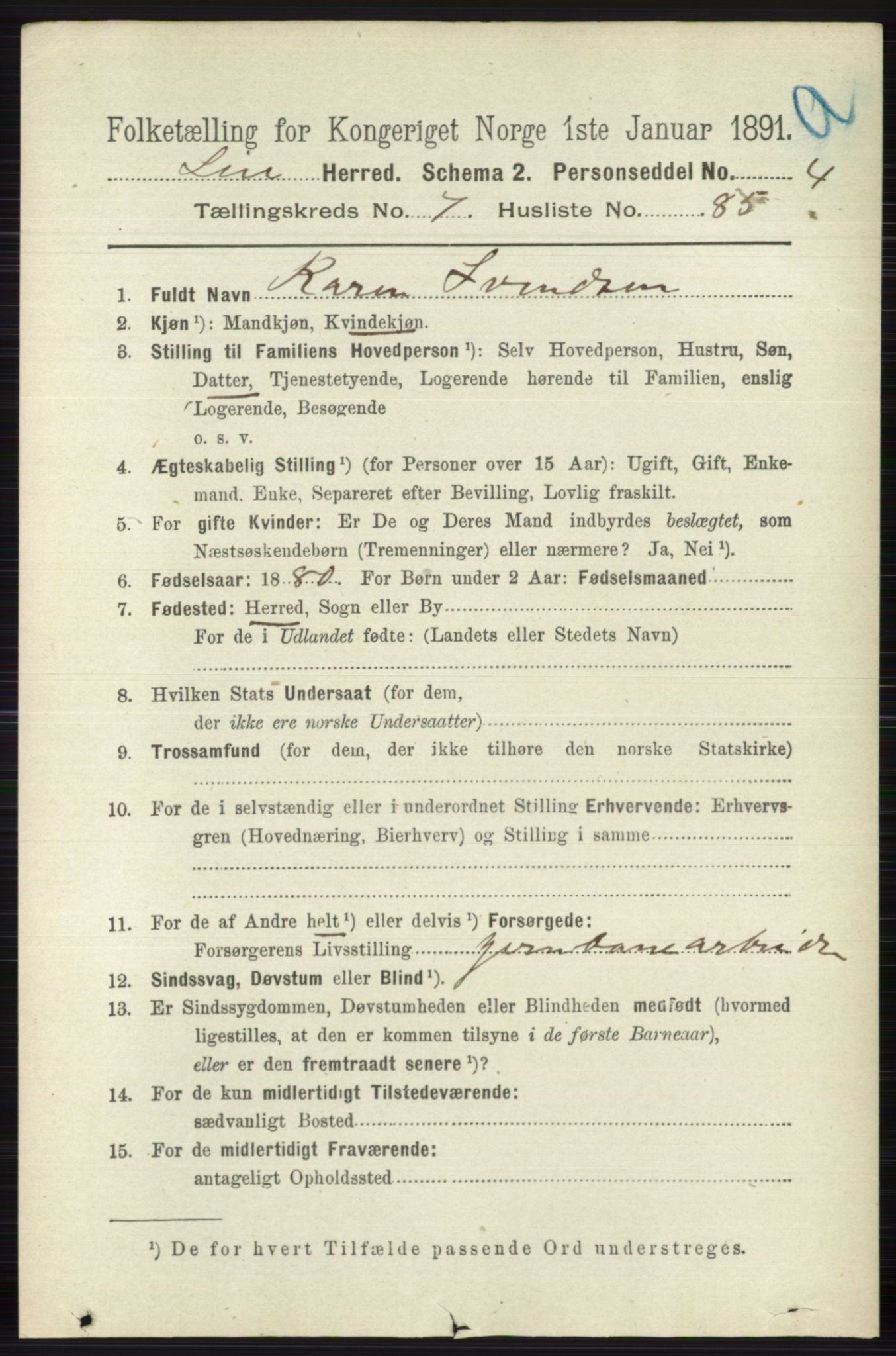 RA, 1891 census for 0626 Lier, 1891, p. 4982