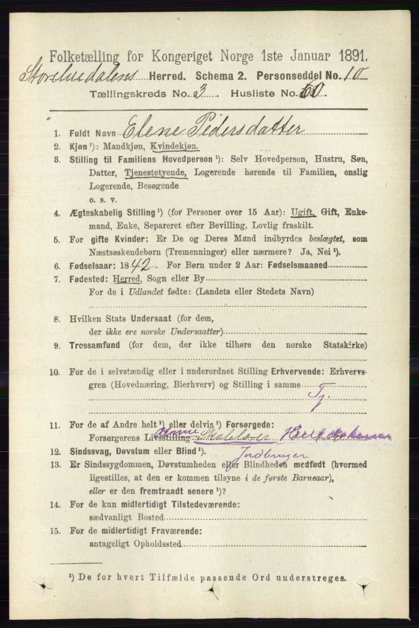 RA, 1891 census for 0430 Stor-Elvdal, 1891, p. 1275