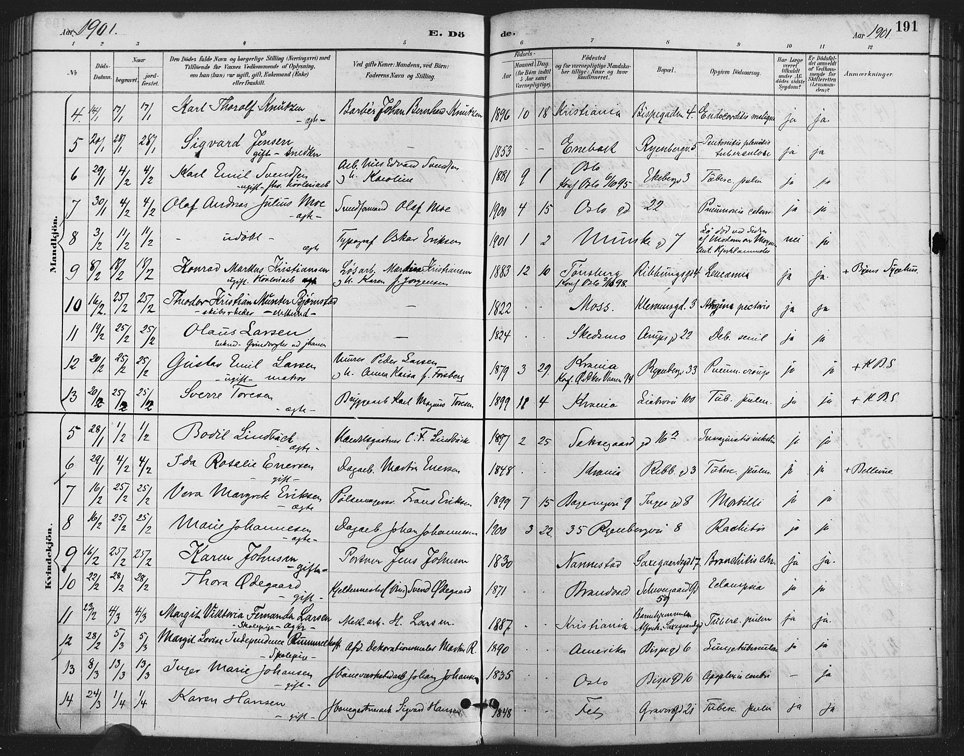 Gamlebyen prestekontor Kirkebøker, SAO/A-10884/F/Fa/L0009: Parish register (official) no. 9, 1888-1909, p. 191