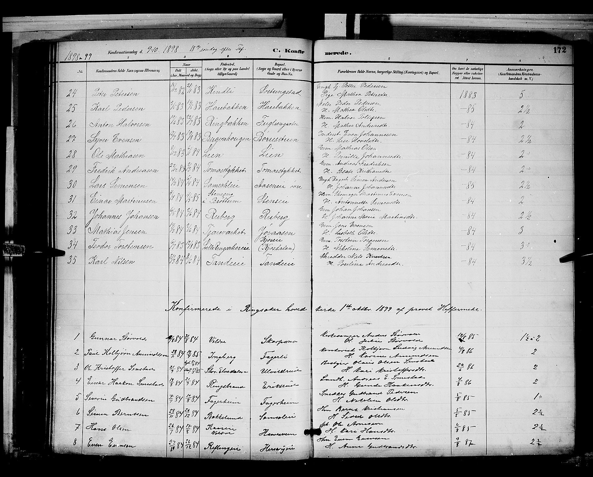 Ringsaker prestekontor, AV/SAH-PREST-014/L/La/L0012: Parish register (copy) no. 12, 1891-1902, p. 172