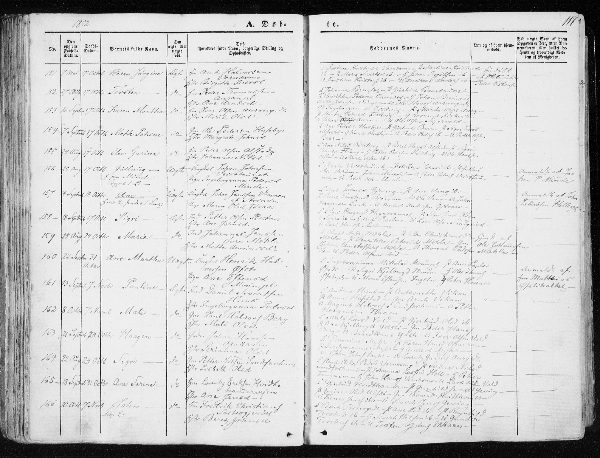 Ministerialprotokoller, klokkerbøker og fødselsregistre - Nord-Trøndelag, SAT/A-1458/709/L0074: Parish register (official) no. 709A14, 1845-1858, p. 117