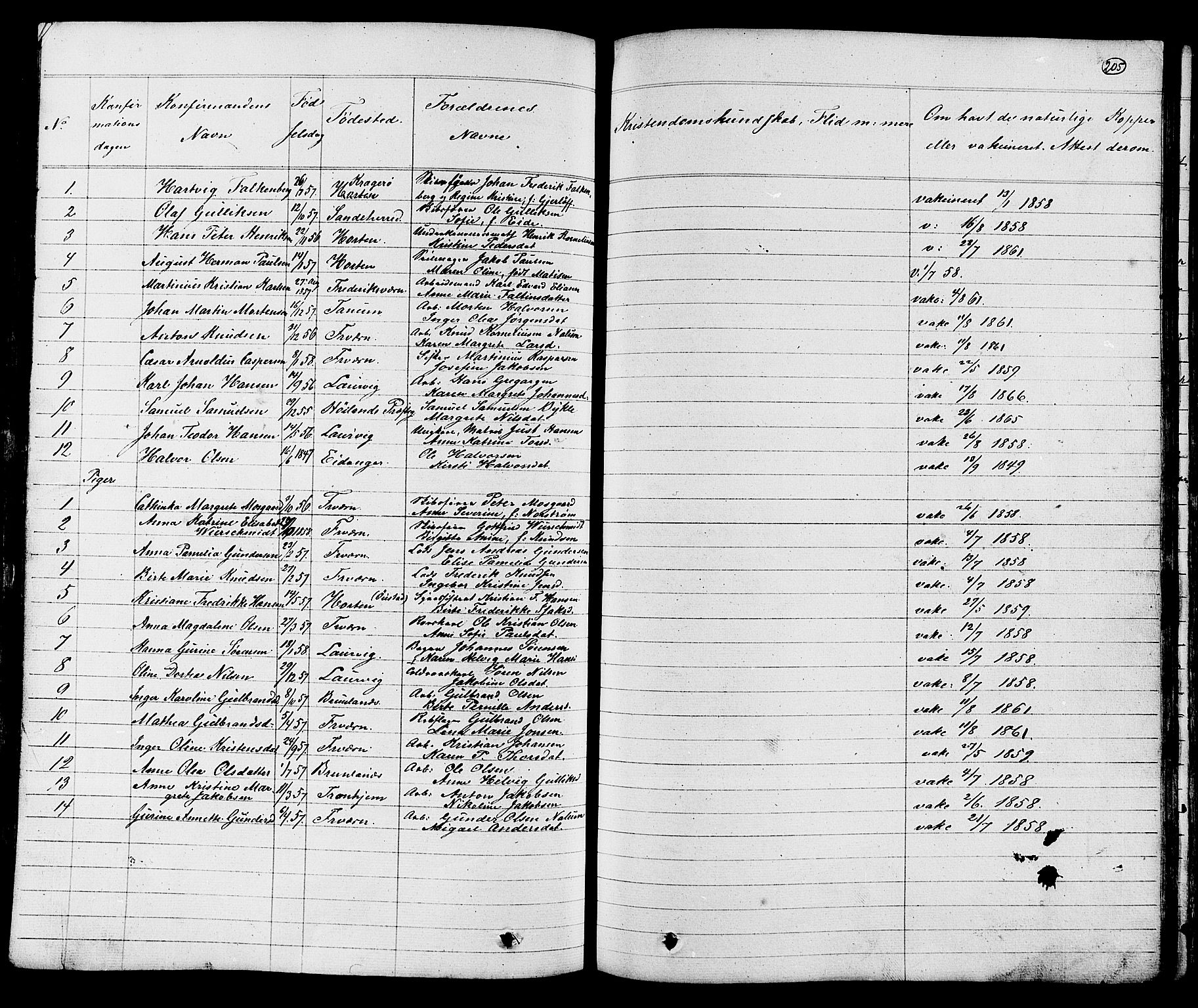 Stavern kirkebøker, SAKO/A-318/G/Ga/L0002: Parish register (copy) no. 2, 1839-1909, p. 205