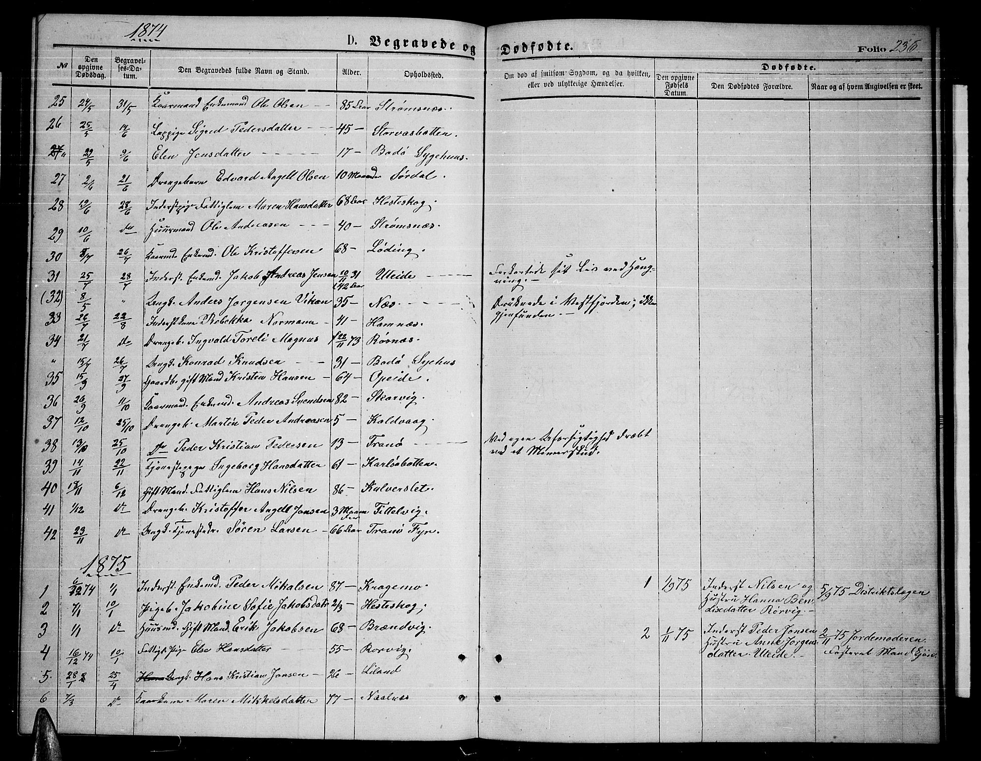 Ministerialprotokoller, klokkerbøker og fødselsregistre - Nordland, SAT/A-1459/859/L0858: Parish register (copy) no. 859C04, 1873-1886, p. 236