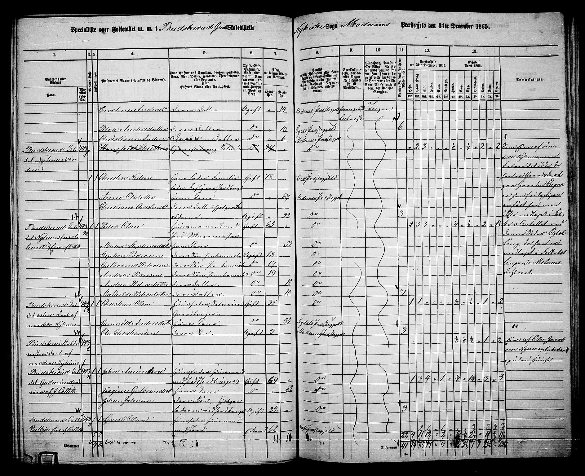 RA, 1865 census for Modum, 1865, p. 244