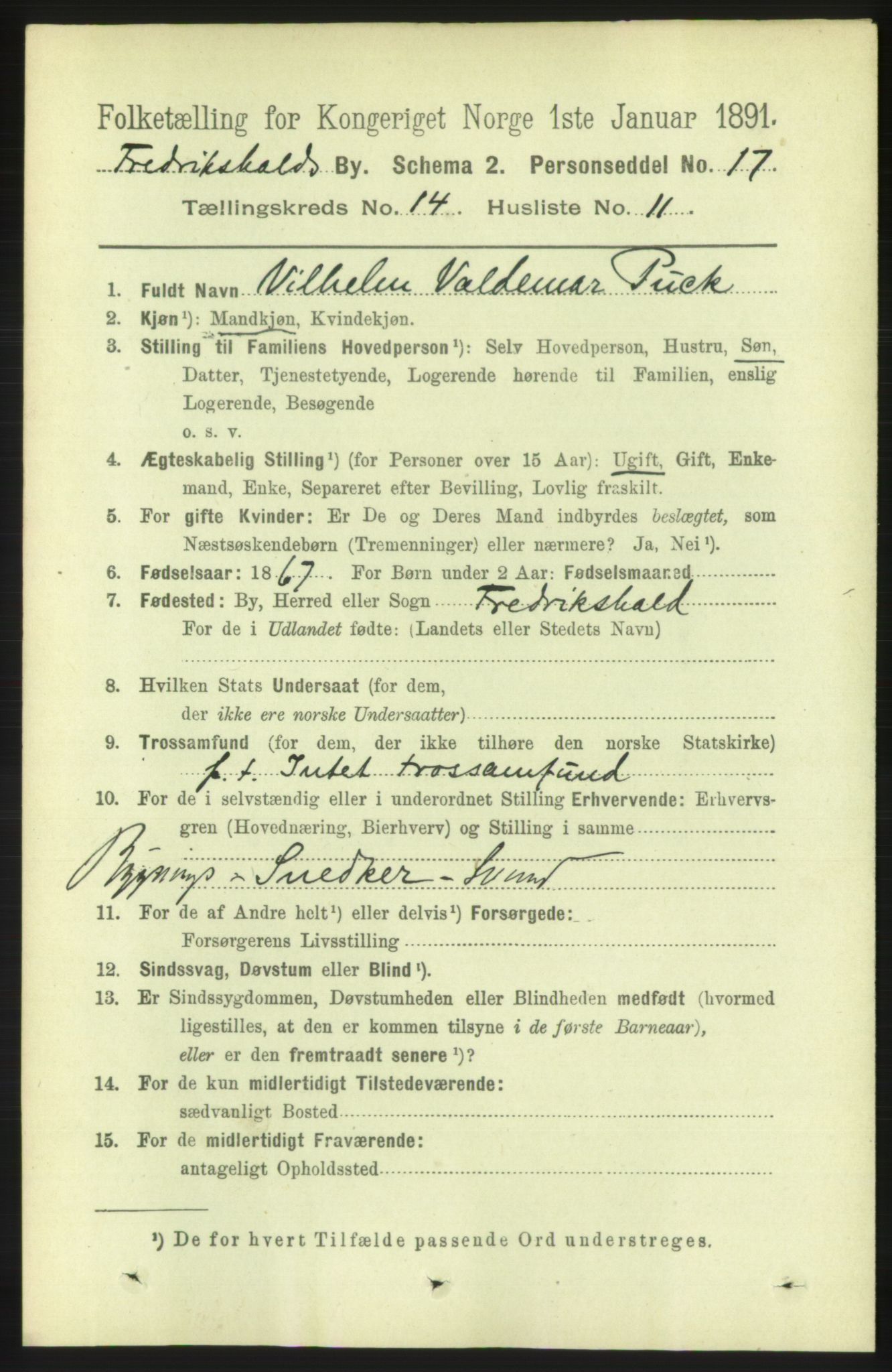 RA, 1891 census for 0101 Fredrikshald, 1891, p. 9186