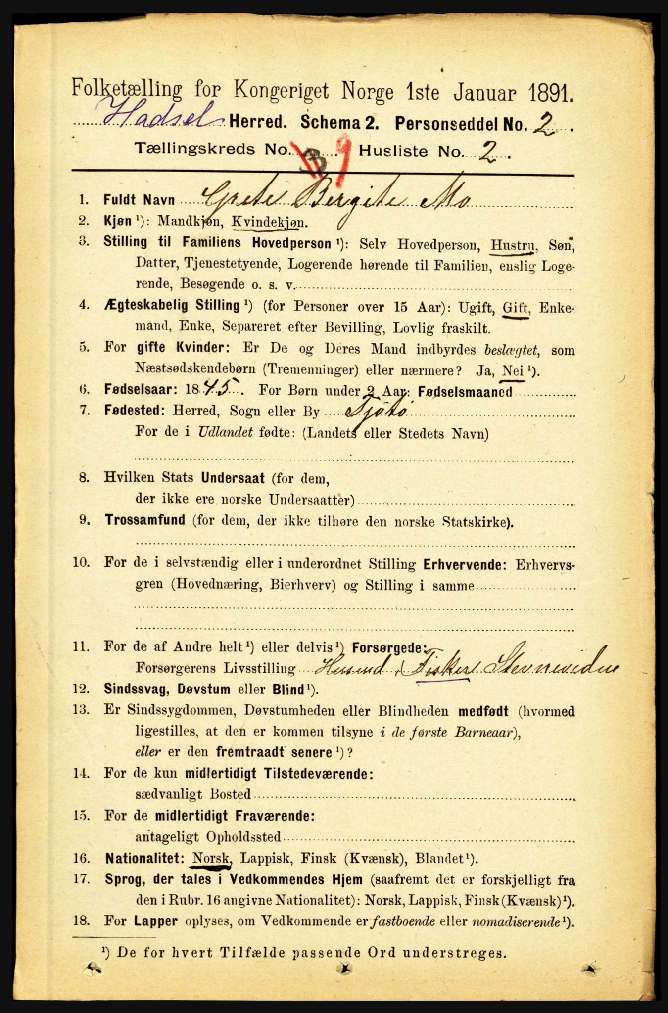 RA, 1891 census for 1866 Hadsel, 1891, p. 3921