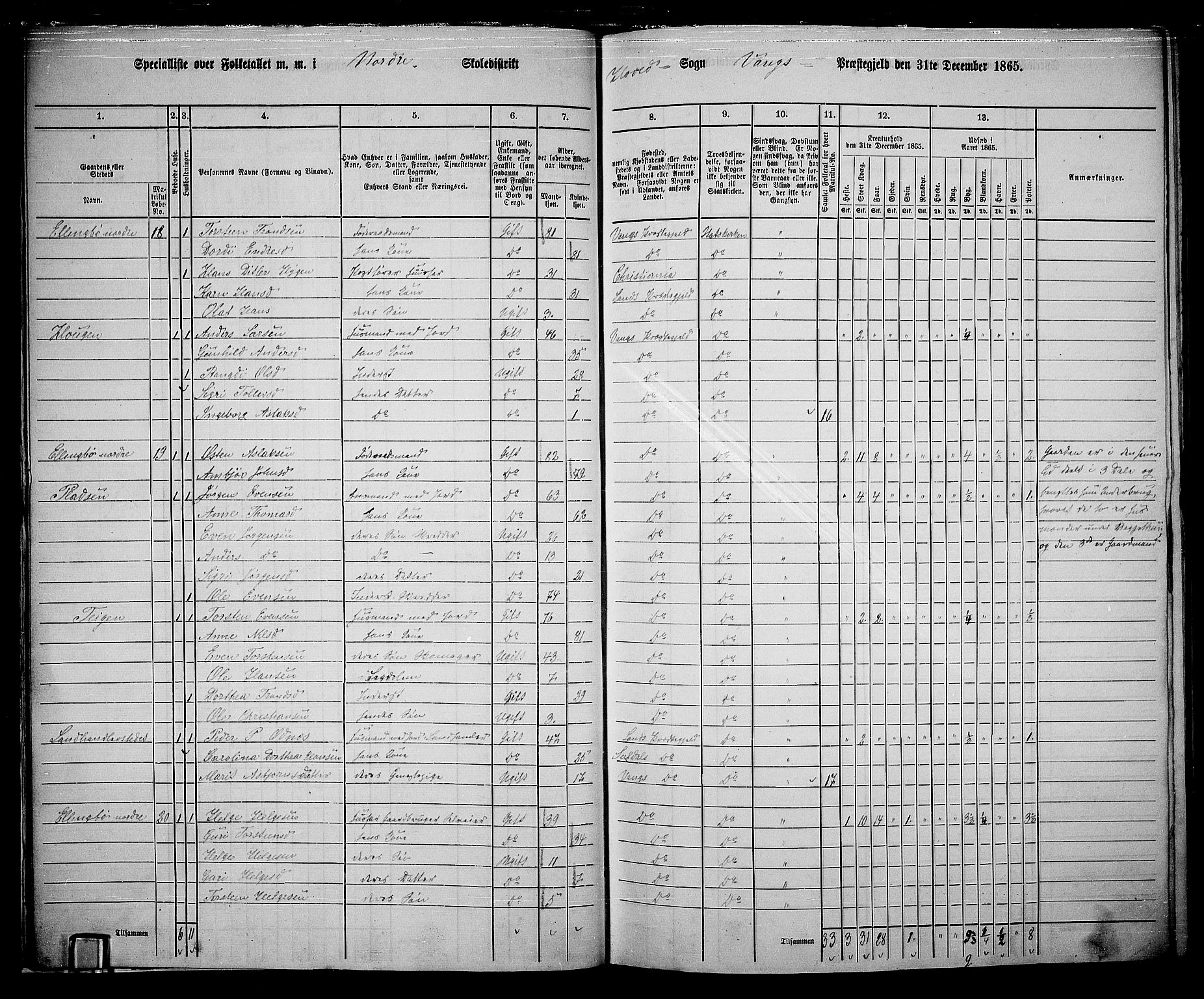 RA, 1865 census for Vang, 1865, p. 19