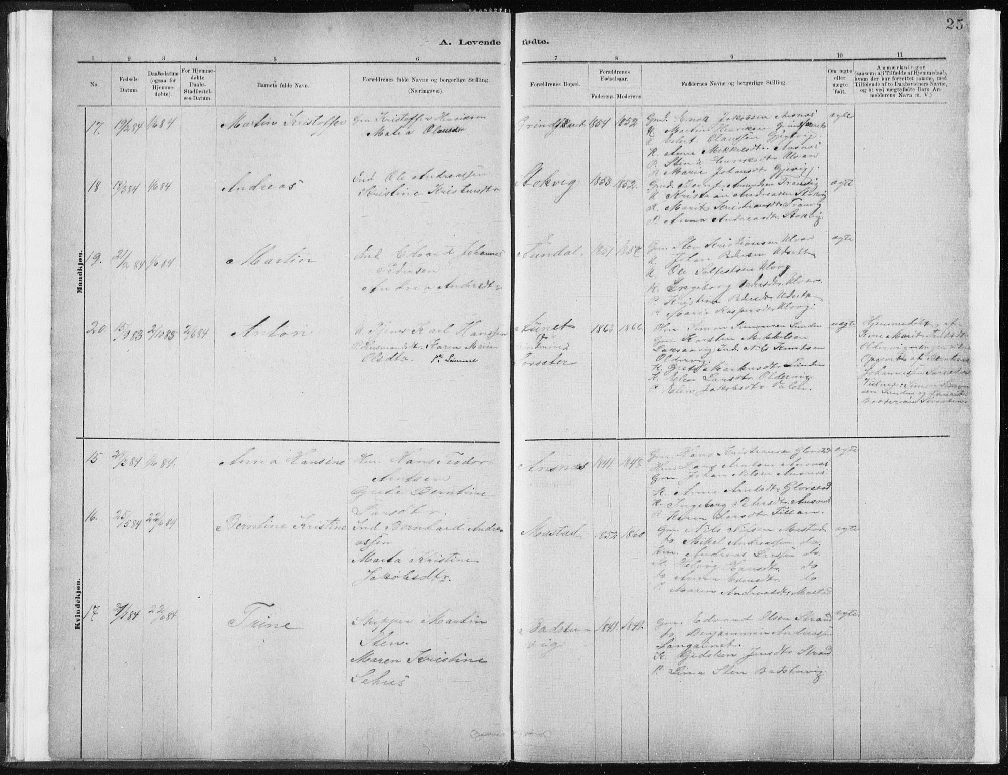 Ministerialprotokoller, klokkerbøker og fødselsregistre - Sør-Trøndelag, AV/SAT-A-1456/637/L0558: Parish register (official) no. 637A01, 1882-1899, p. 25