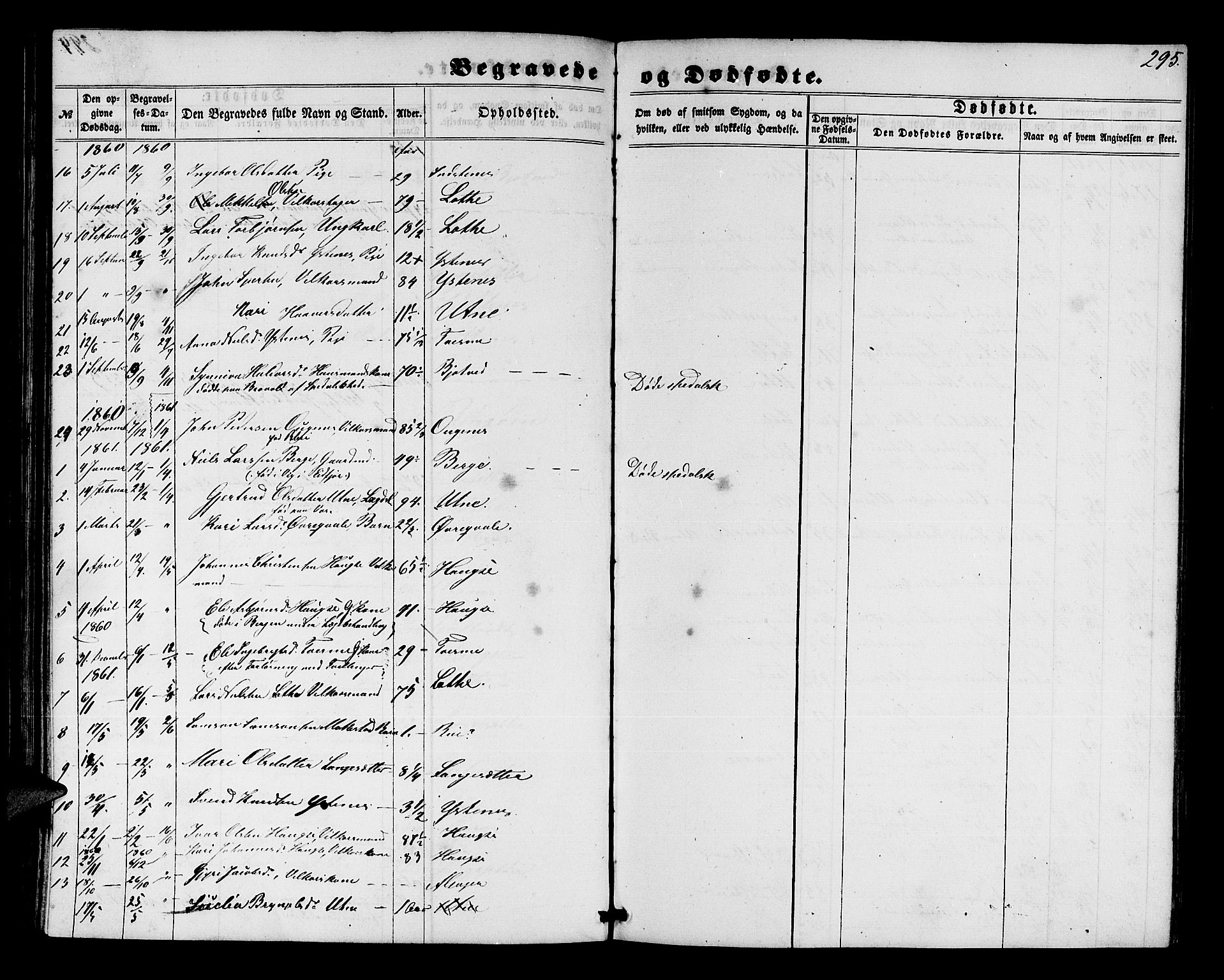 Ullensvang sokneprestembete, SAB/A-78701/H/Hab: Parish register (copy) no. E 6, 1857-1886, p. 295