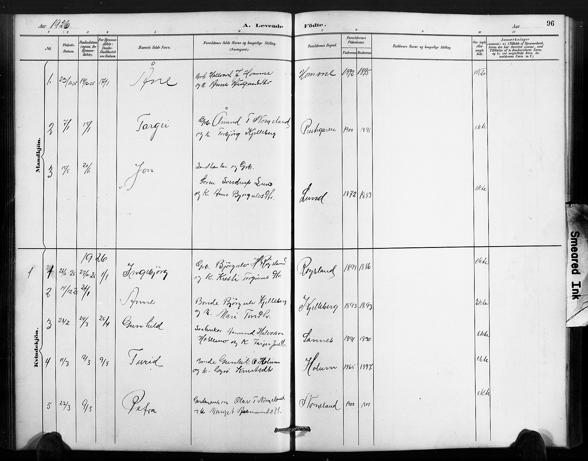 Valle sokneprestkontor, AV/SAK-1111-0044/F/Fb/Fbc/L0004: Parish register (copy) no. B 4, 1890-1928, p. 96