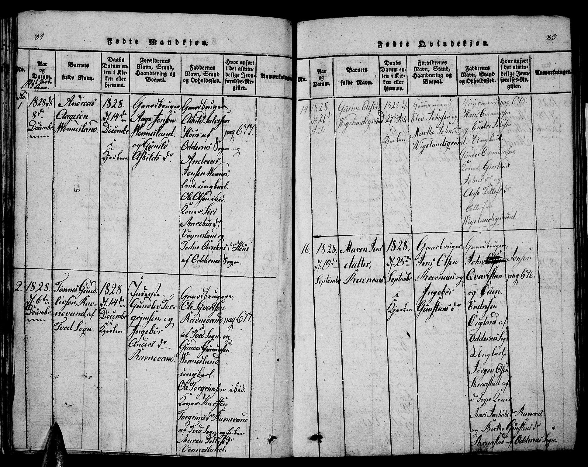 Vennesla sokneprestkontor, AV/SAK-1111-0045/Fb/Fbb/L0001: Parish register (copy) no. B 1, 1820-1834, p. 84-85