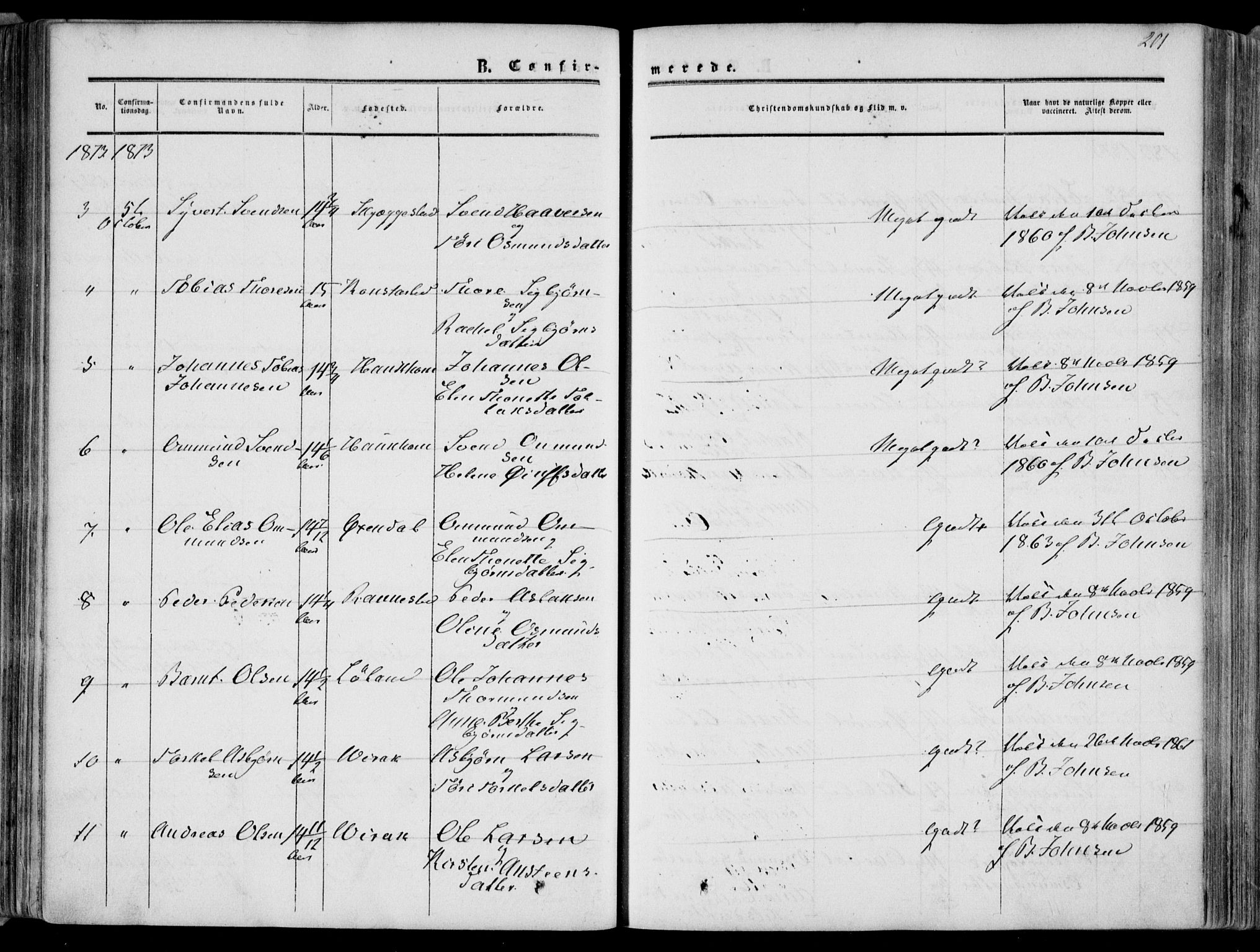 Bakke sokneprestkontor, AV/SAK-1111-0002/F/Fa/Faa/L0006: Parish register (official) no. A 6, 1855-1877, p. 201