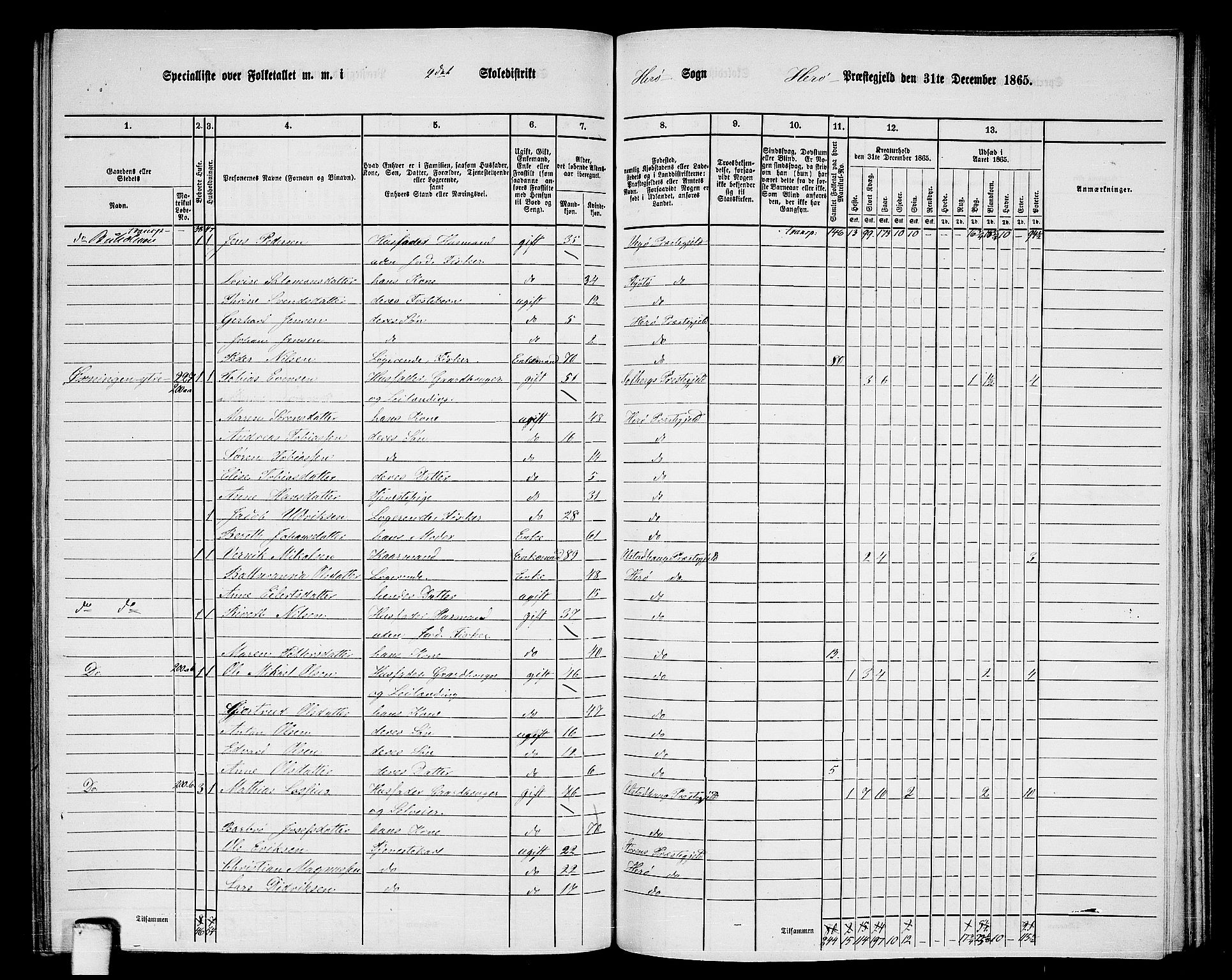 RA, 1865 census for Herøy, 1865, p. 41