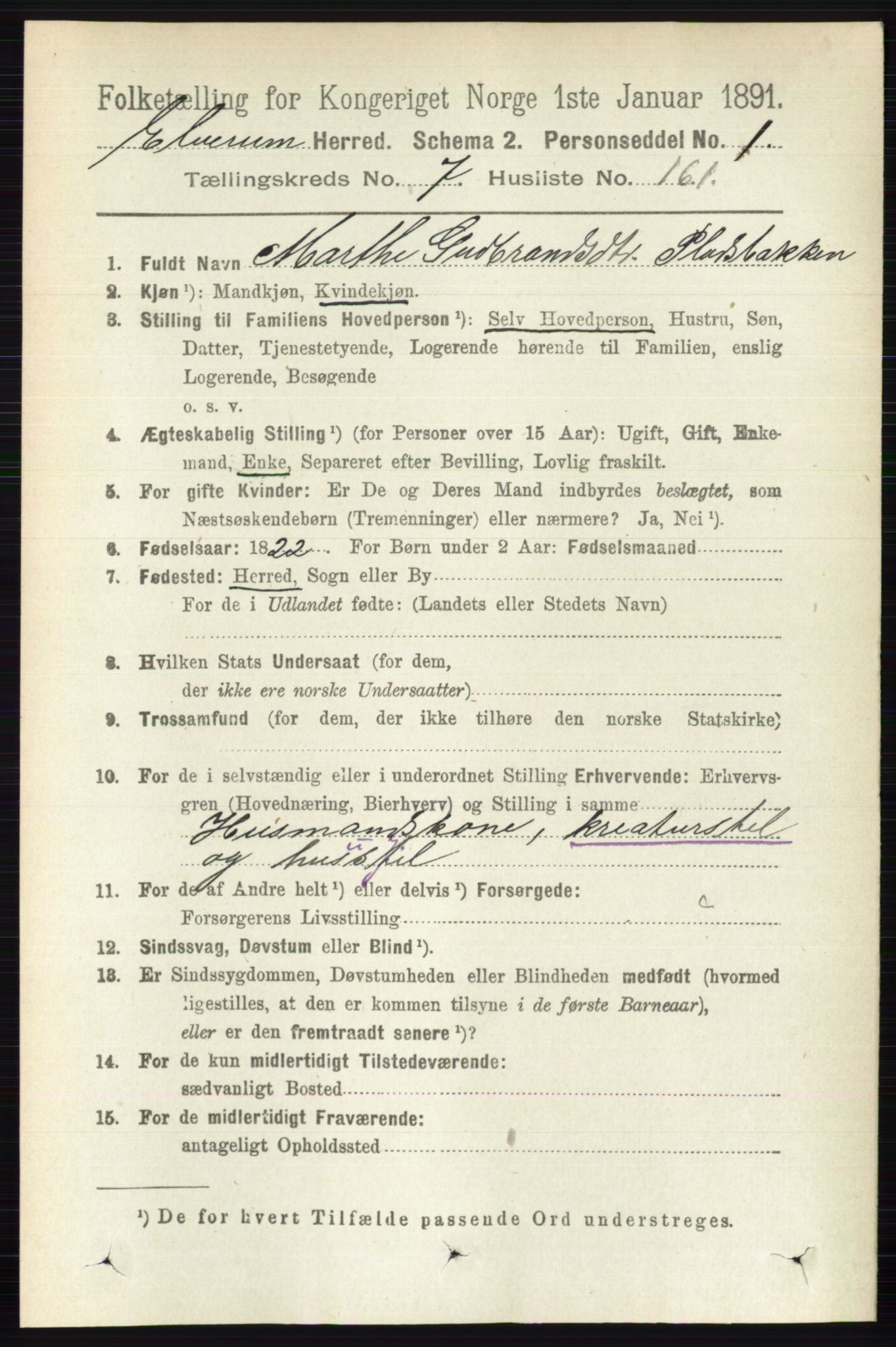 RA, 1891 census for 0427 Elverum, 1891, p. 6587