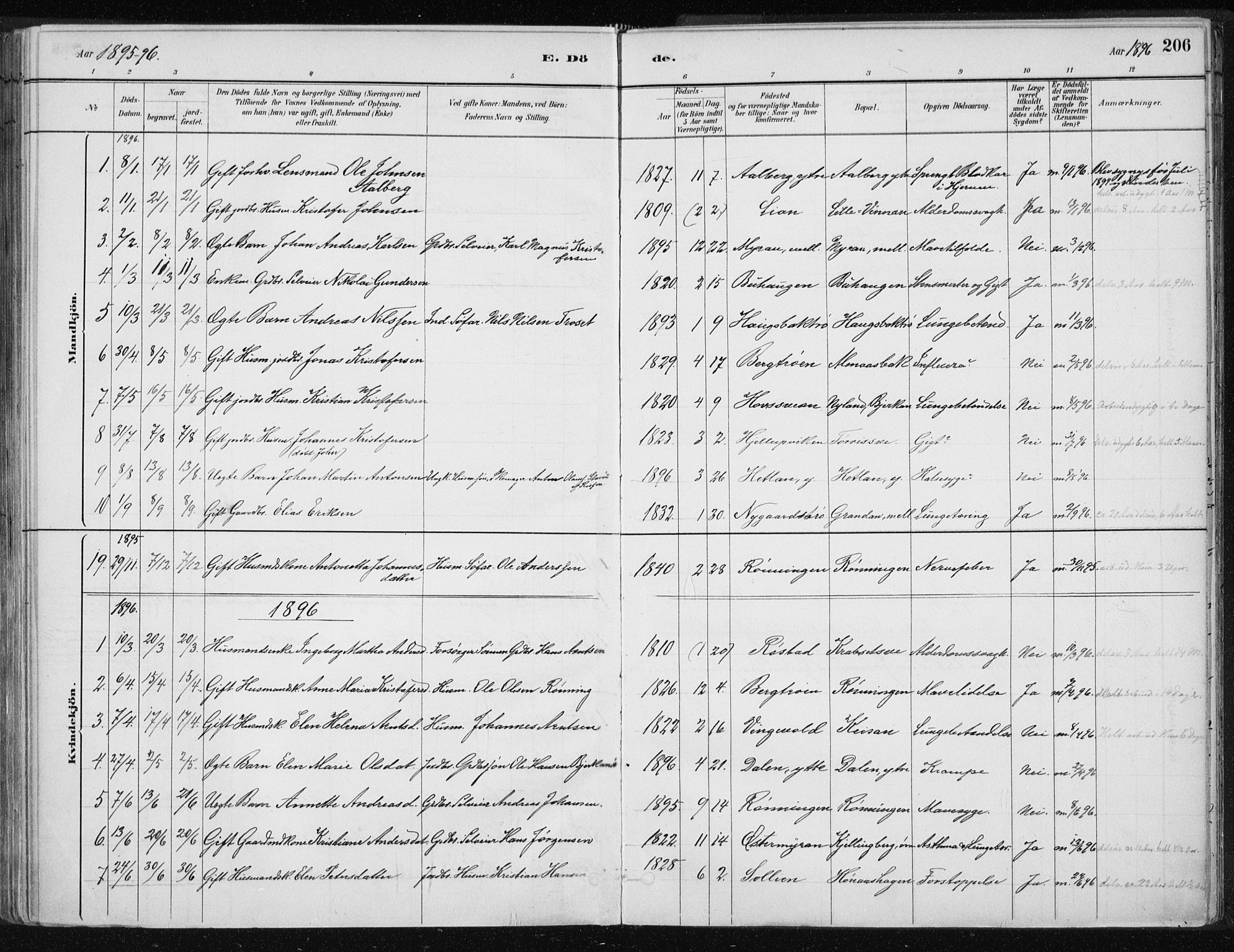 Ministerialprotokoller, klokkerbøker og fødselsregistre - Nord-Trøndelag, SAT/A-1458/701/L0010: Parish register (official) no. 701A10, 1883-1899, p. 206