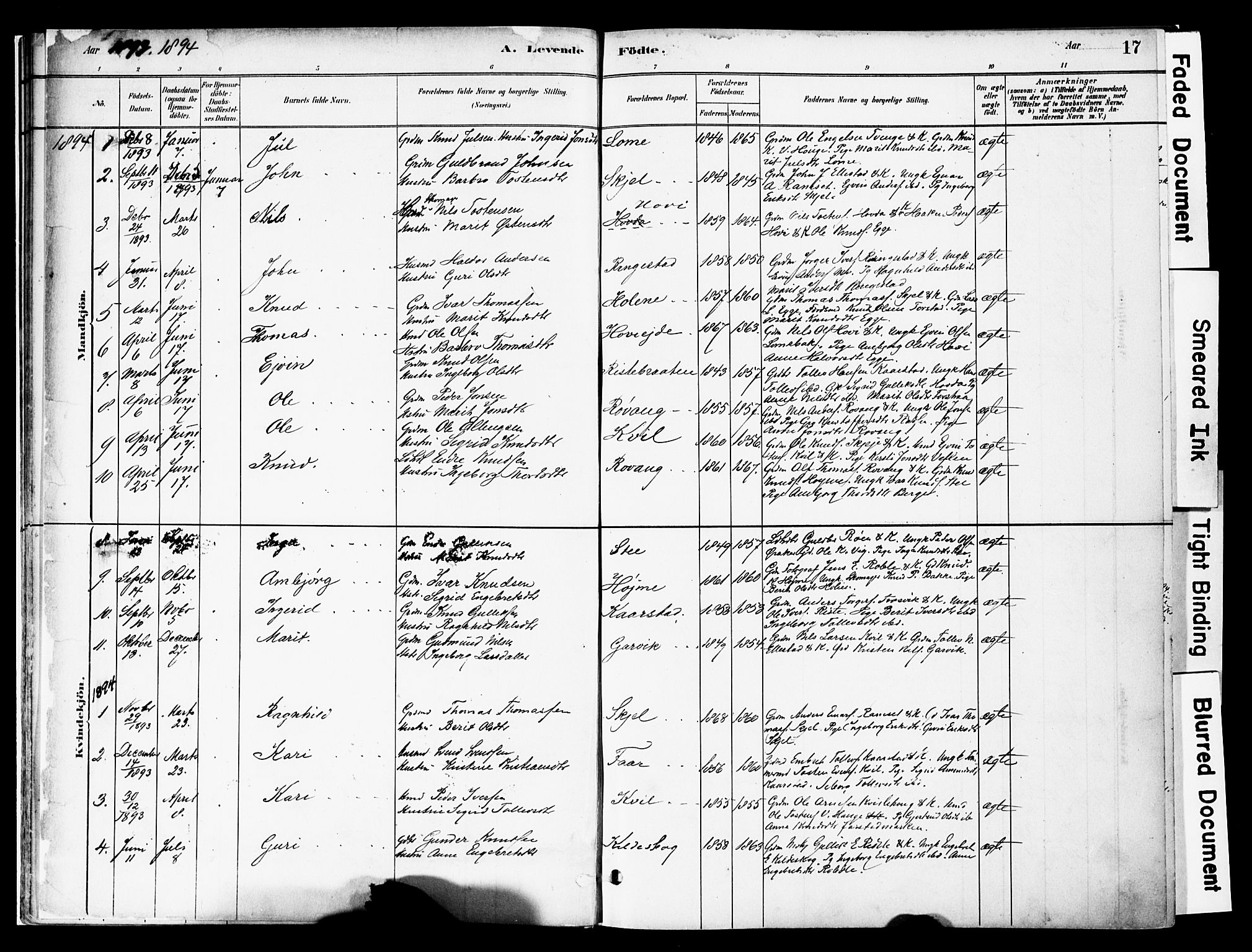 Vestre Slidre prestekontor, SAH/PREST-136/H/Ha/Haa/L0005: Parish register (official) no. 5, 1881-1912, p. 17