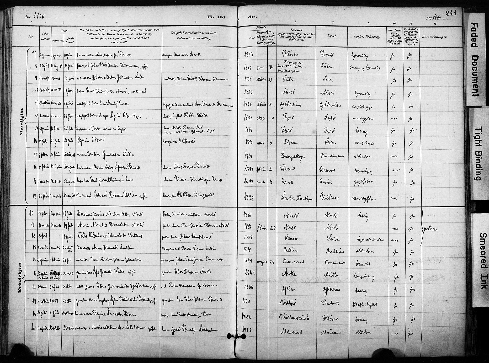 Ministerialprotokoller, klokkerbøker og fødselsregistre - Sør-Trøndelag, SAT/A-1456/640/L0579: Parish register (official) no. 640A04, 1889-1902, p. 244