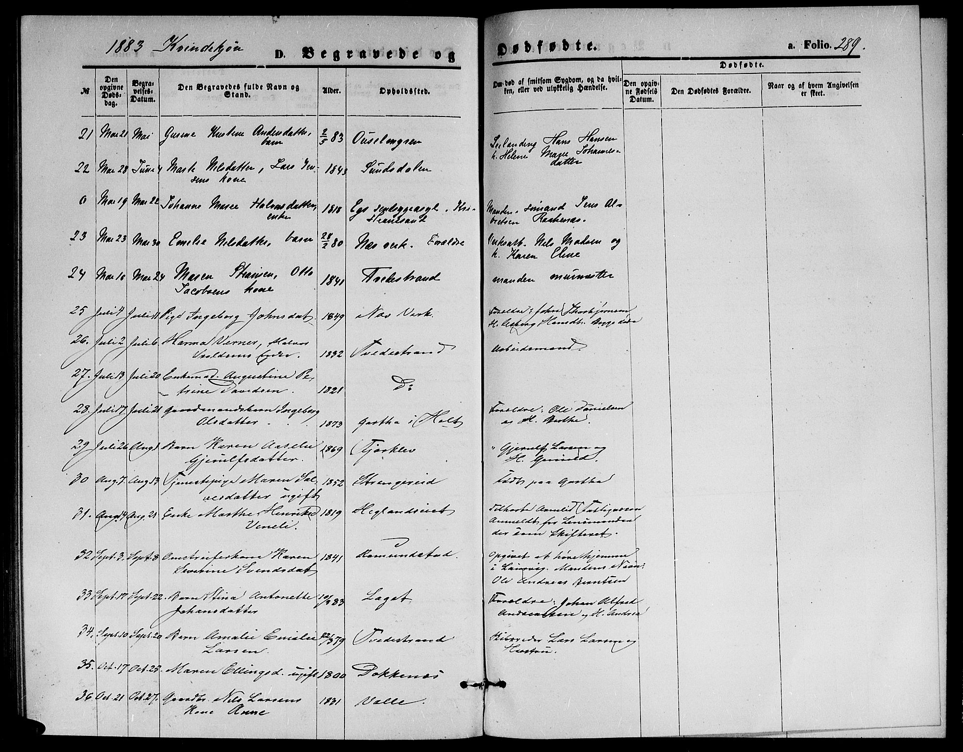 Holt sokneprestkontor, SAK/1111-0021/F/Fb/L0009: Parish register (copy) no. B 9, 1871-1883, p. 289