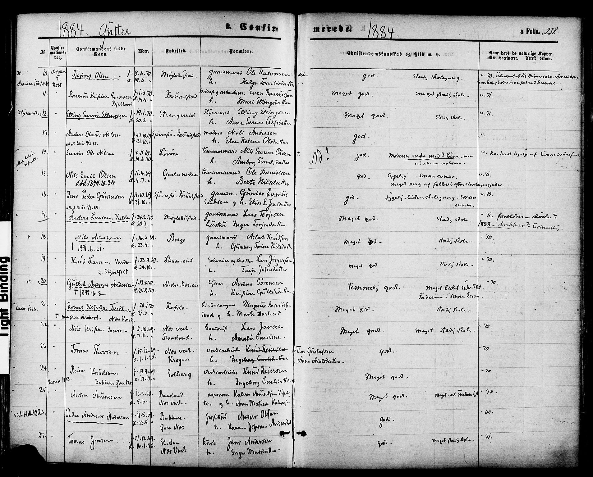 Holt sokneprestkontor, AV/SAK-1111-0021/F/Fa/L0010: Parish register (official) no. A 10, 1872-1885, p. 238