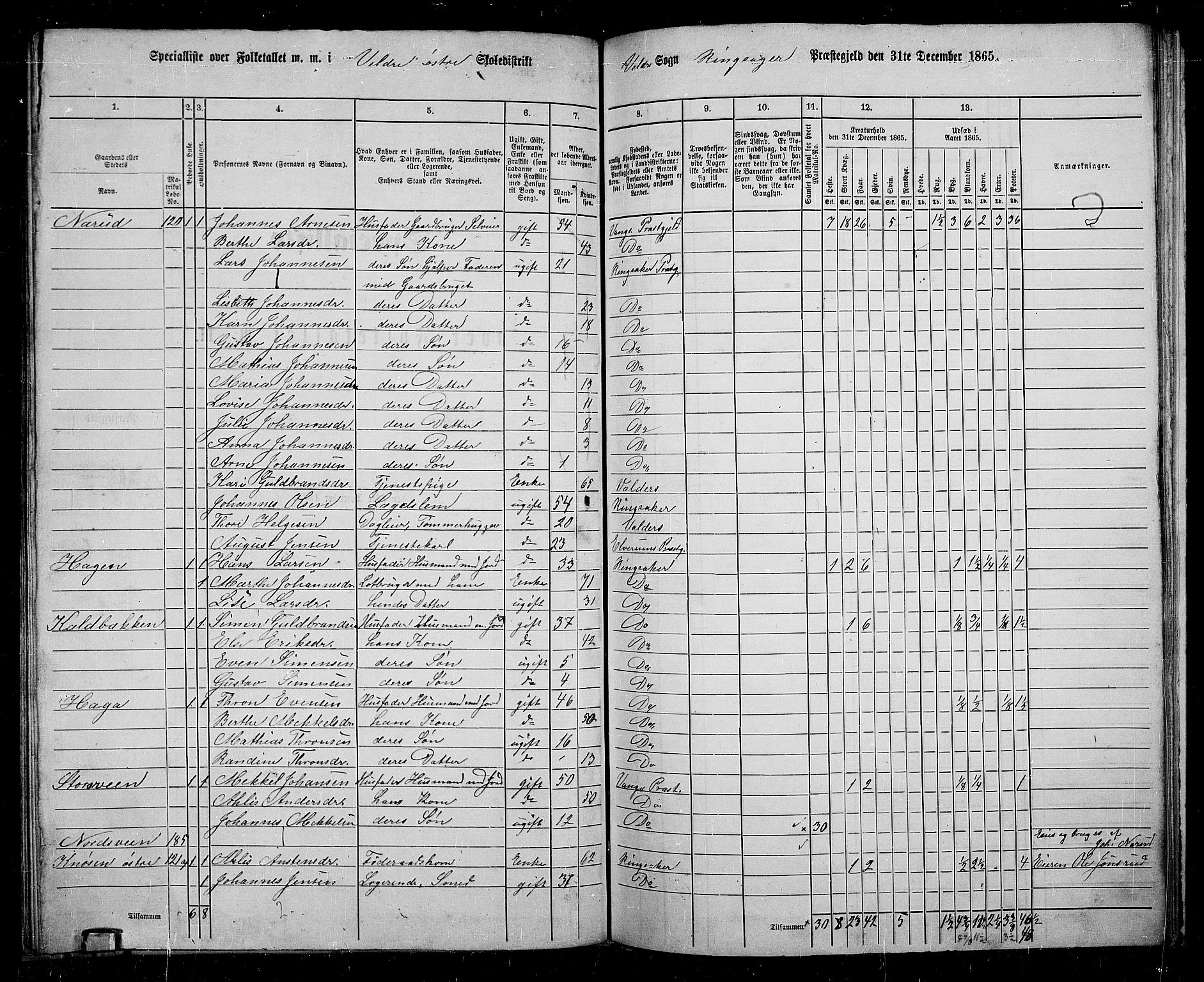 RA, 1865 census for Ringsaker, 1865, p. 191