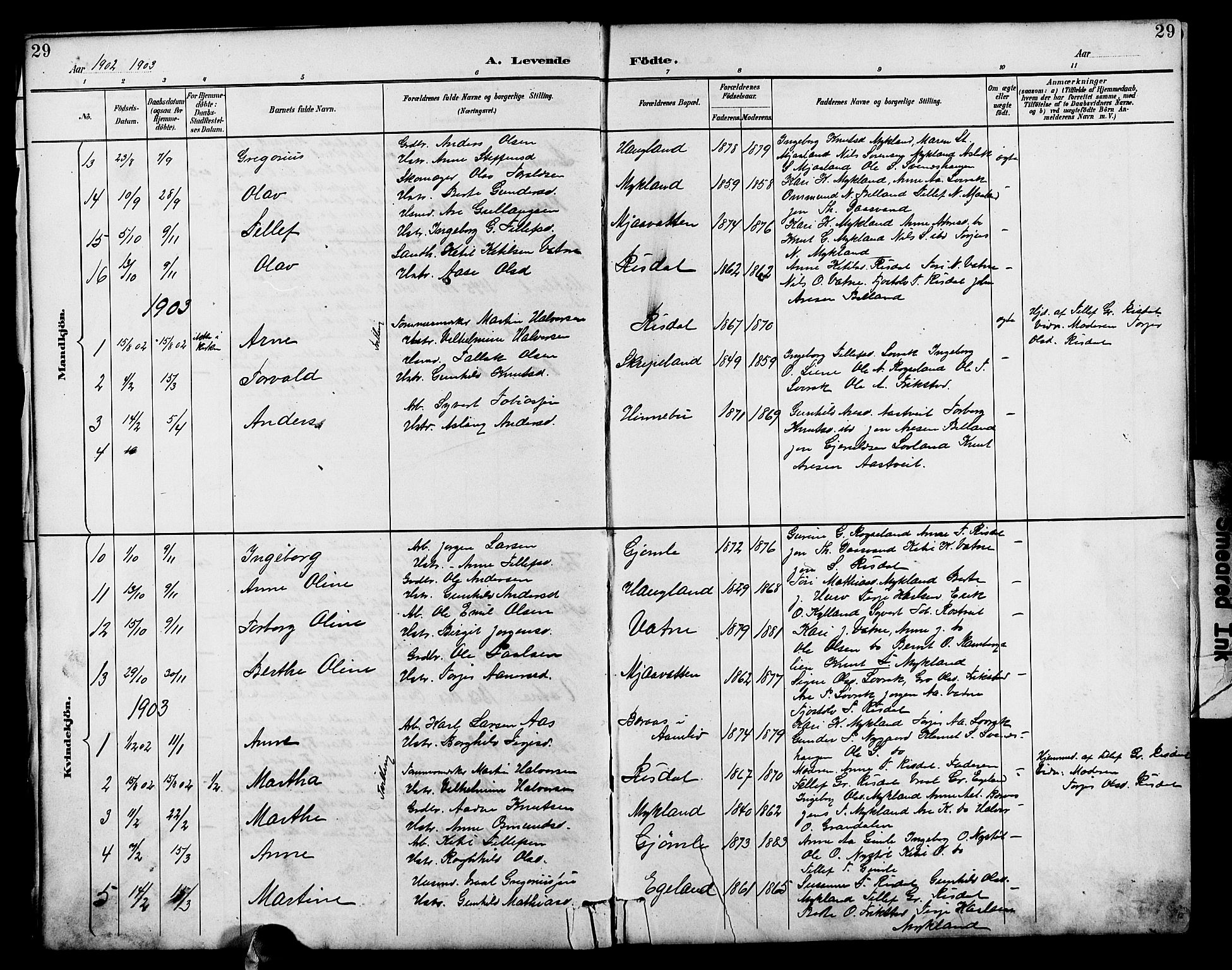 Herefoss sokneprestkontor, AV/SAK-1111-0019/F/Fb/Fbc/L0003: Parish register (copy) no. B 3, 1887-1915, p. 29