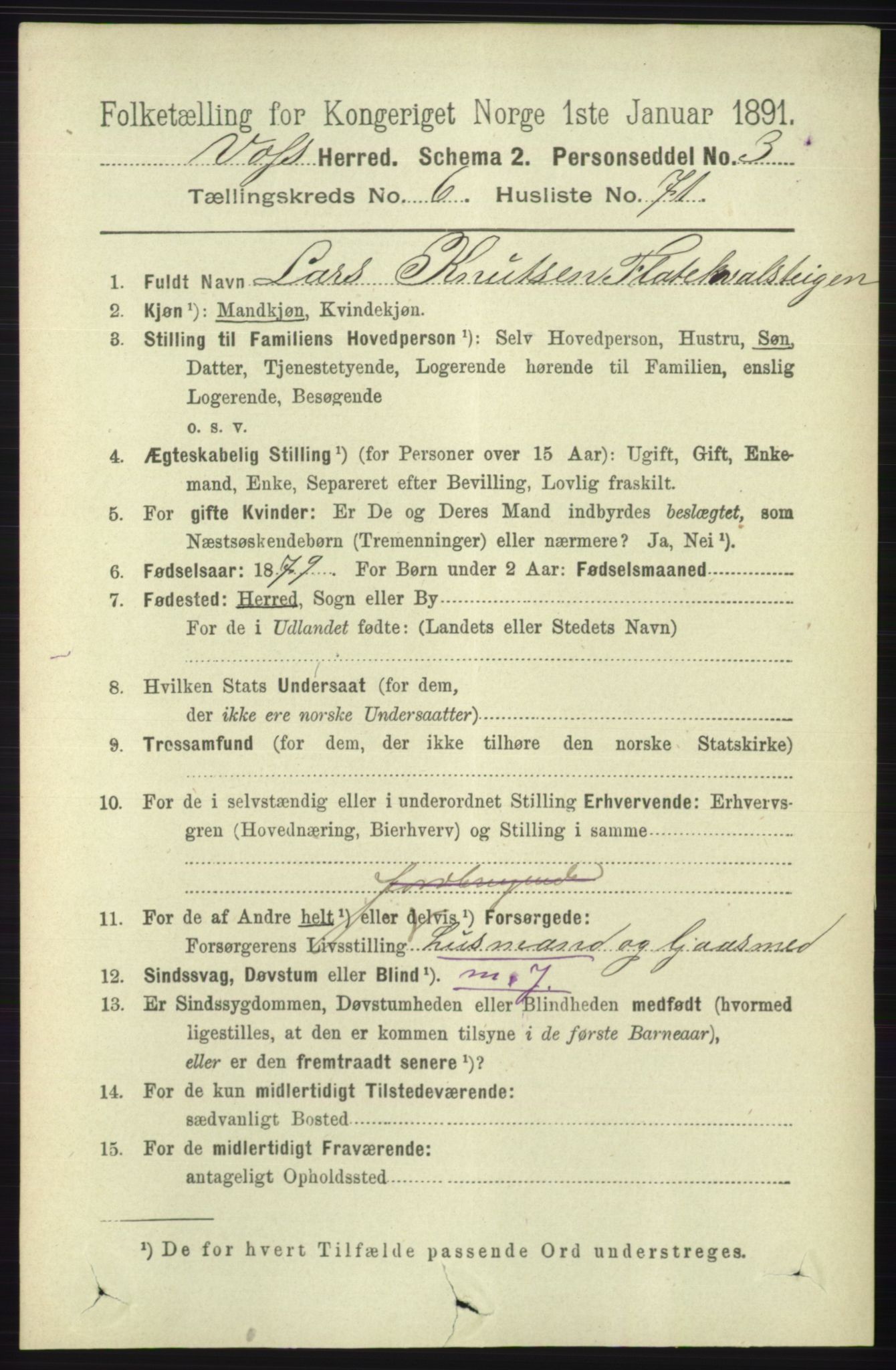 RA, 1891 census for 1235 Voss, 1891, p. 3725