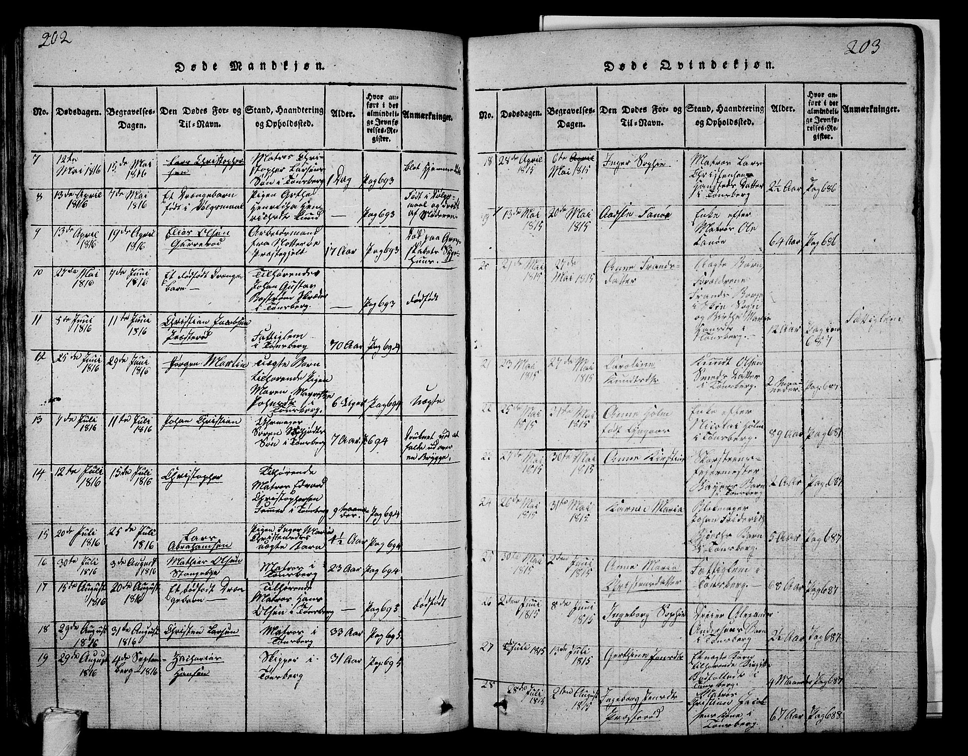 Tønsberg kirkebøker, AV/SAKO-A-330/G/Ga/L0001: Parish register (copy) no. 1, 1813-1826, p. 202-203