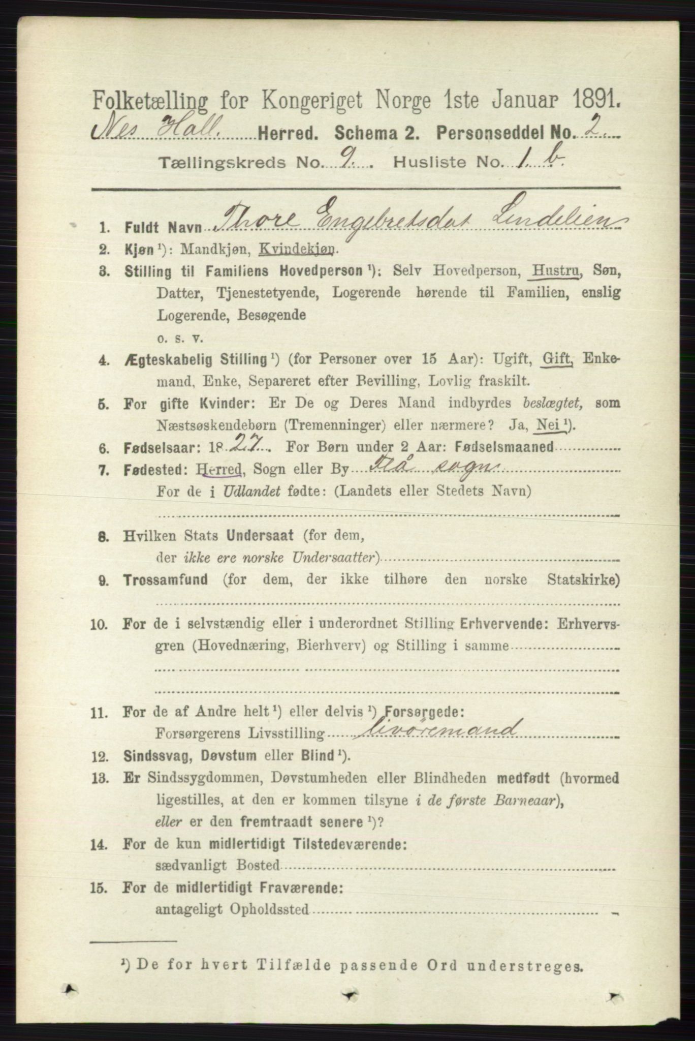 RA, 1891 census for 0616 Nes, 1891, p. 4343