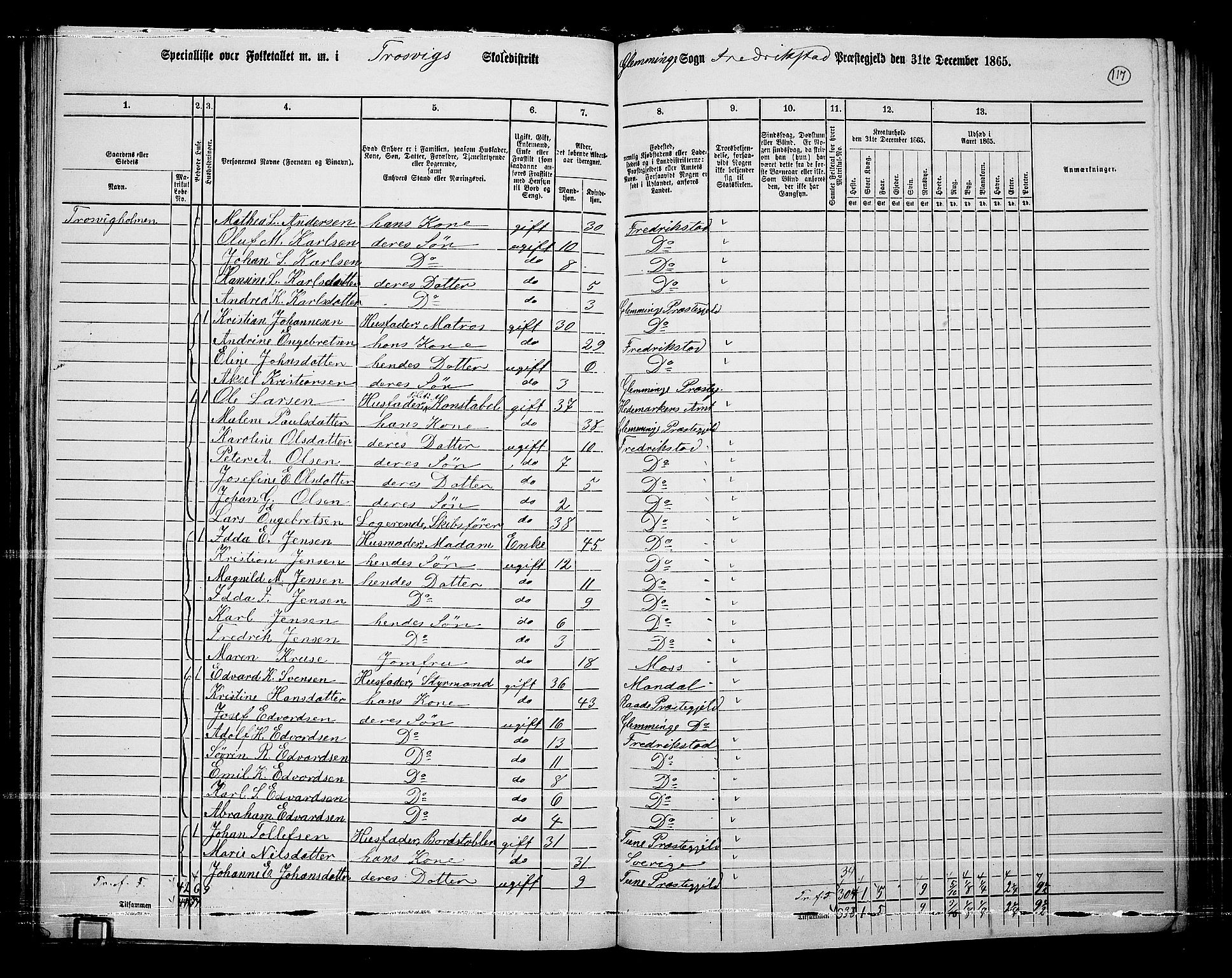 RA, 1865 census for Fredrikstad/Glemmen, 1865, p. 113