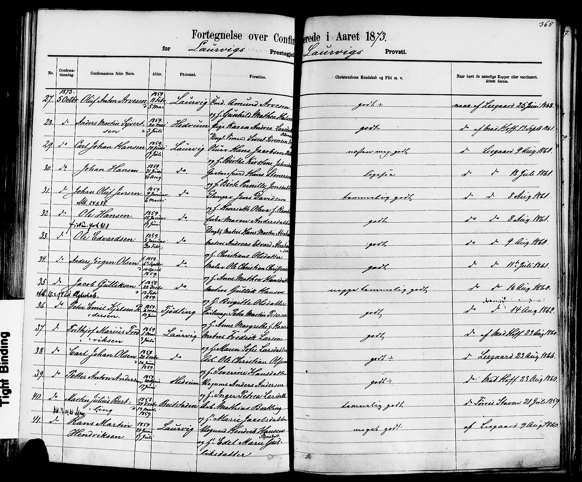 Larvik kirkebøker, AV/SAKO-A-352/F/Fa/L0006: Parish register (official) no. I 6, 1871-1883, p. 365