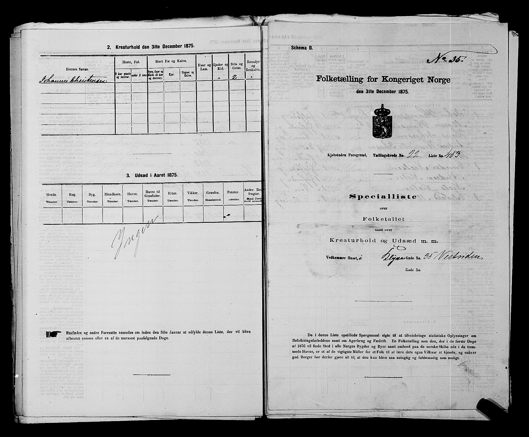 SAKO, 1875 census for 0805P Porsgrunn, 1875, p. 1015